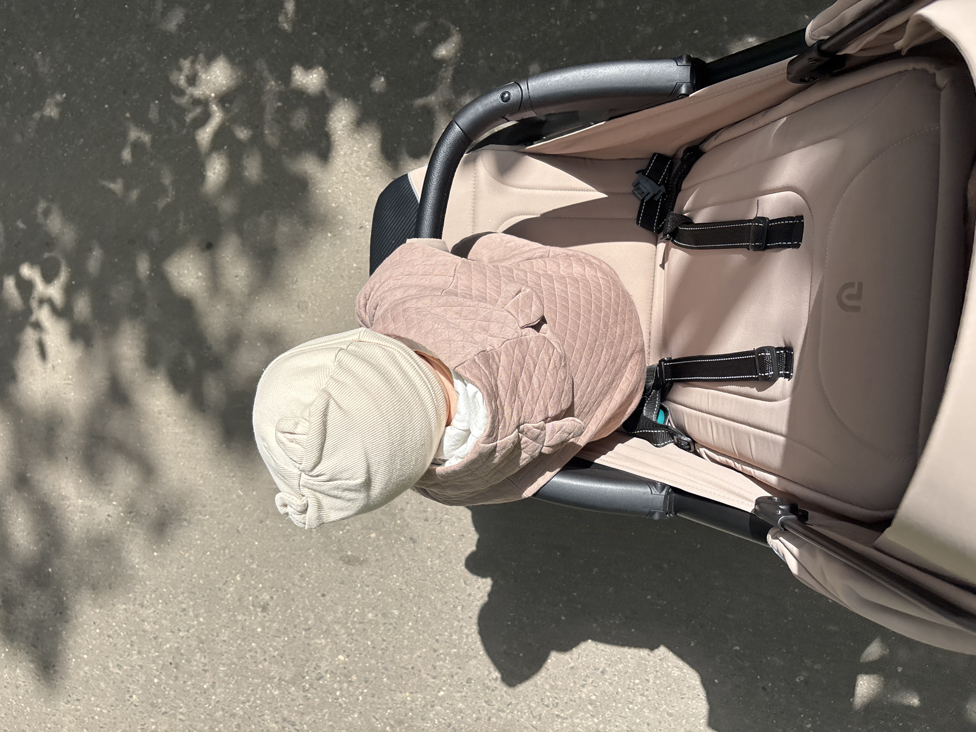 Sunny morning walk with a stroller through a Shevlyagino park