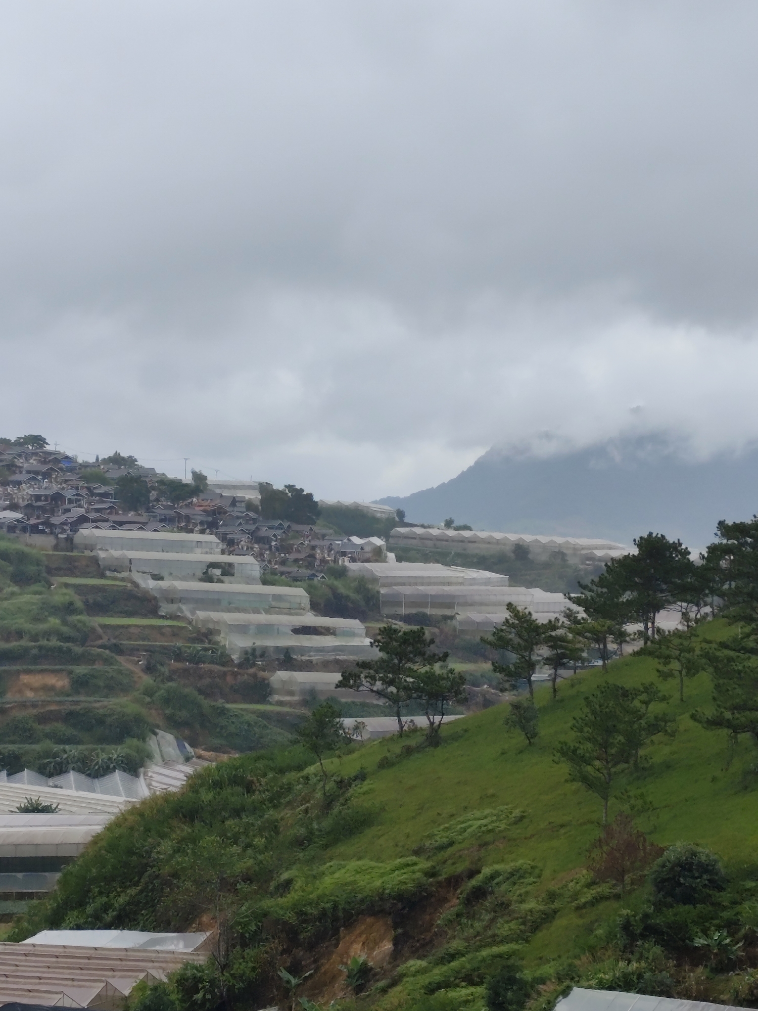 Lạc Dương's greenhouse hills, pink houses, and street scenes