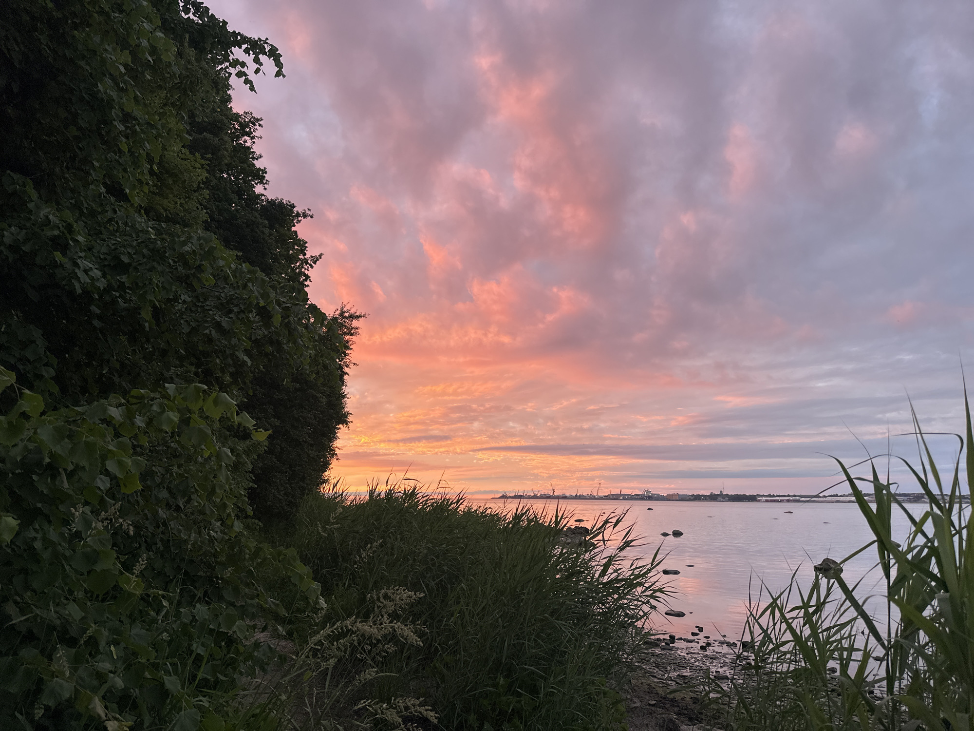 Baltic sunset from Tallinn's rocky coastline, summer evening