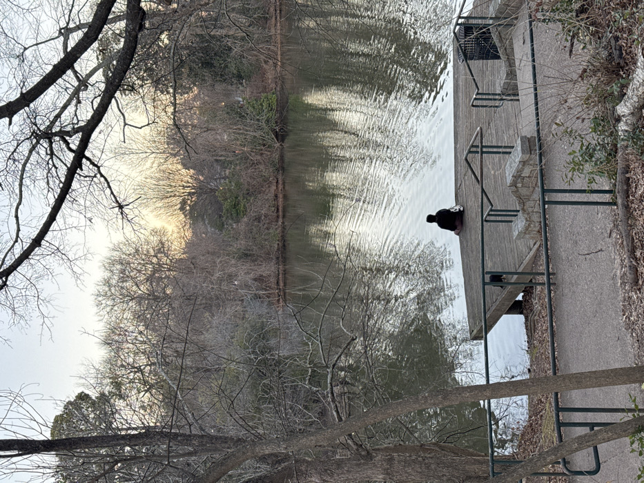 Evening dog walk documented across Atlanta parks and waterfront
