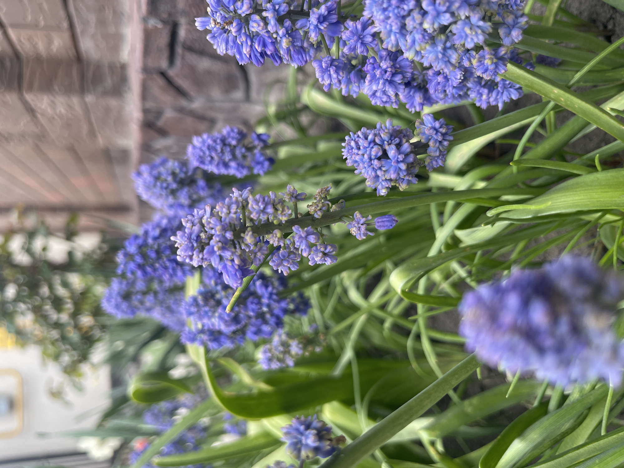 Spring day memories documented across residential Yessentukskaya, Russia