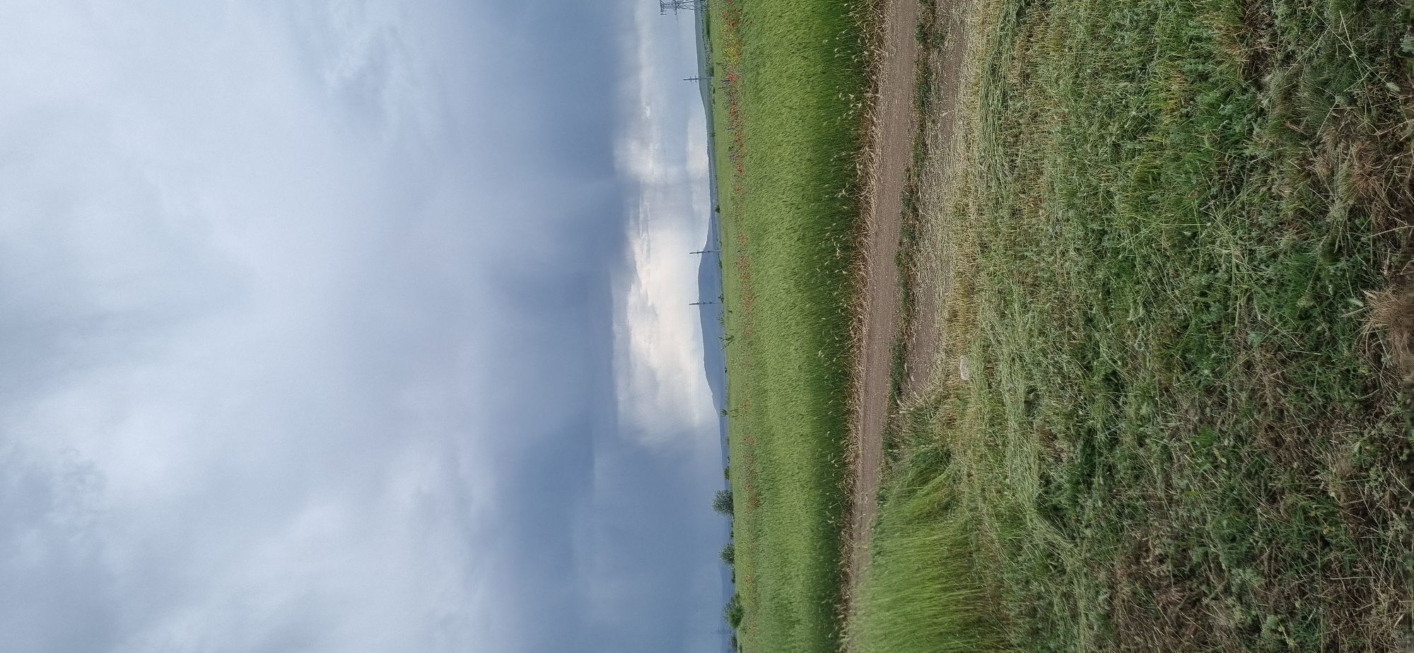 Rural life documented in Ukrainian village of Blizhnee