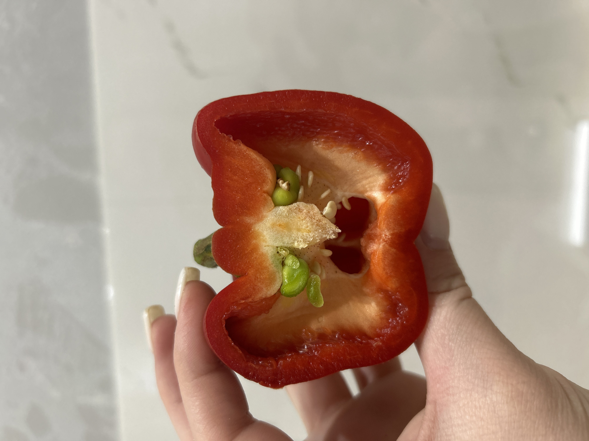 Red bell pepper photographed in half in Chaikovsky, Russia