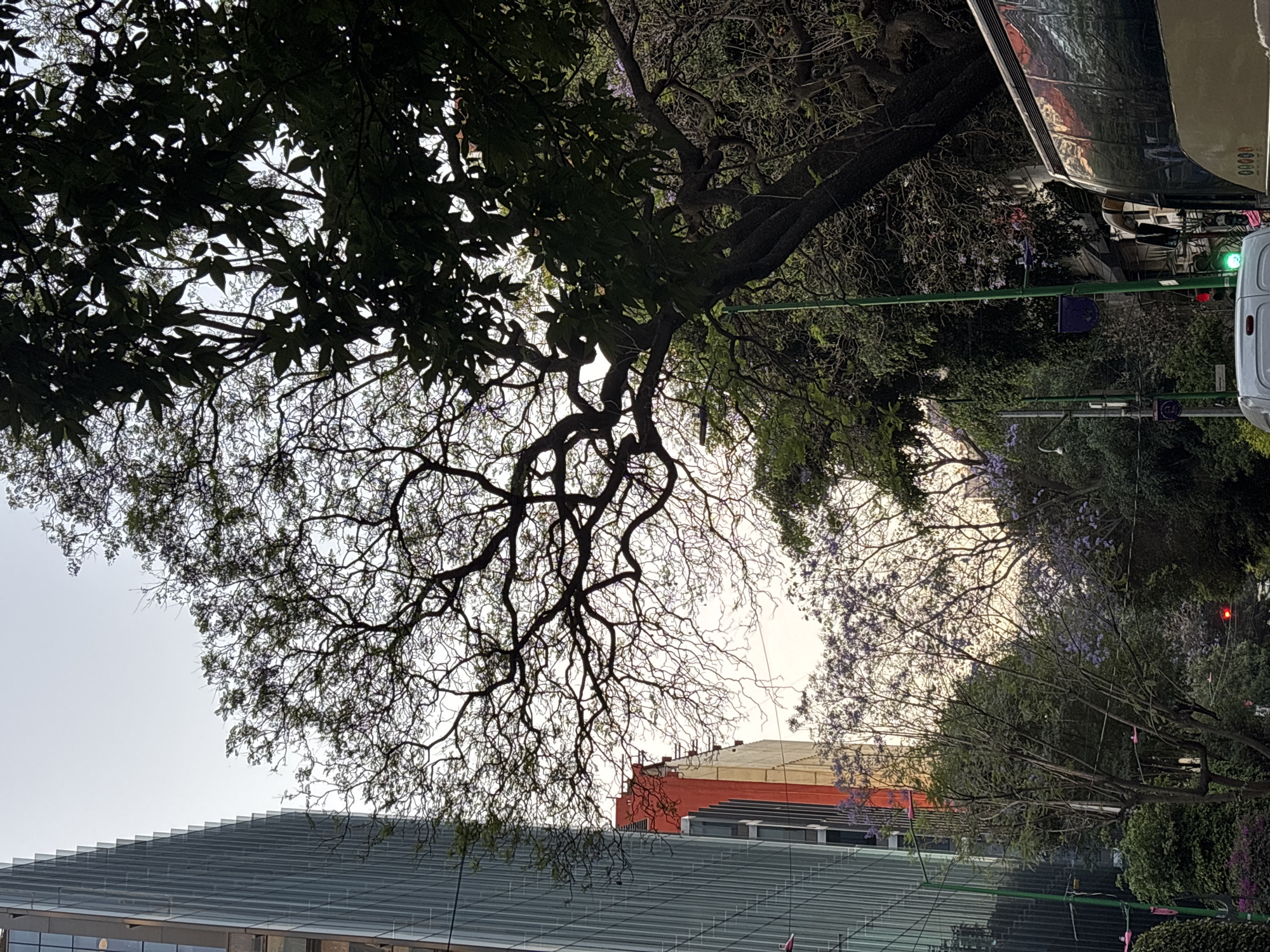 Mexico City Angel of Independence area documented by witnesses