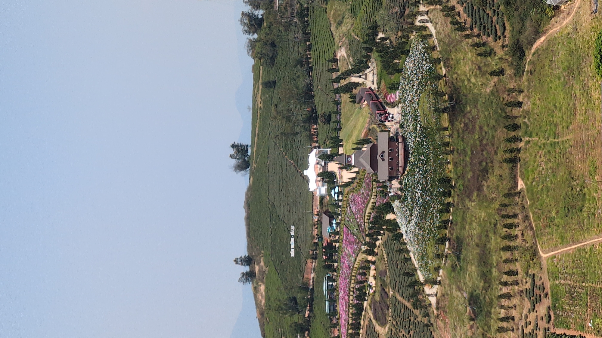 Aerial view captures tea plantation near Phát Chi, Vietnam