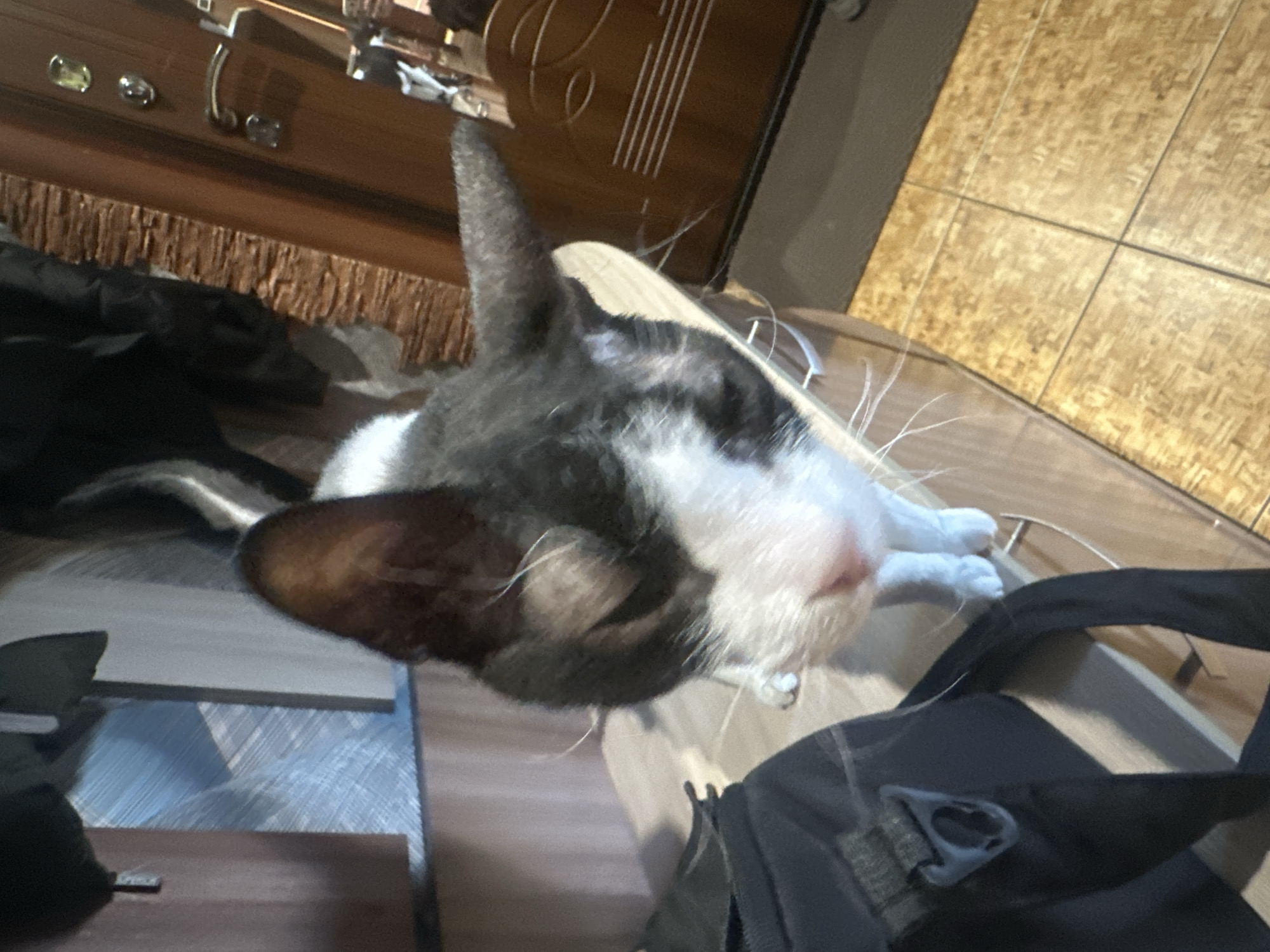 Domestic life moments captured across two hours in Sayanogorsk