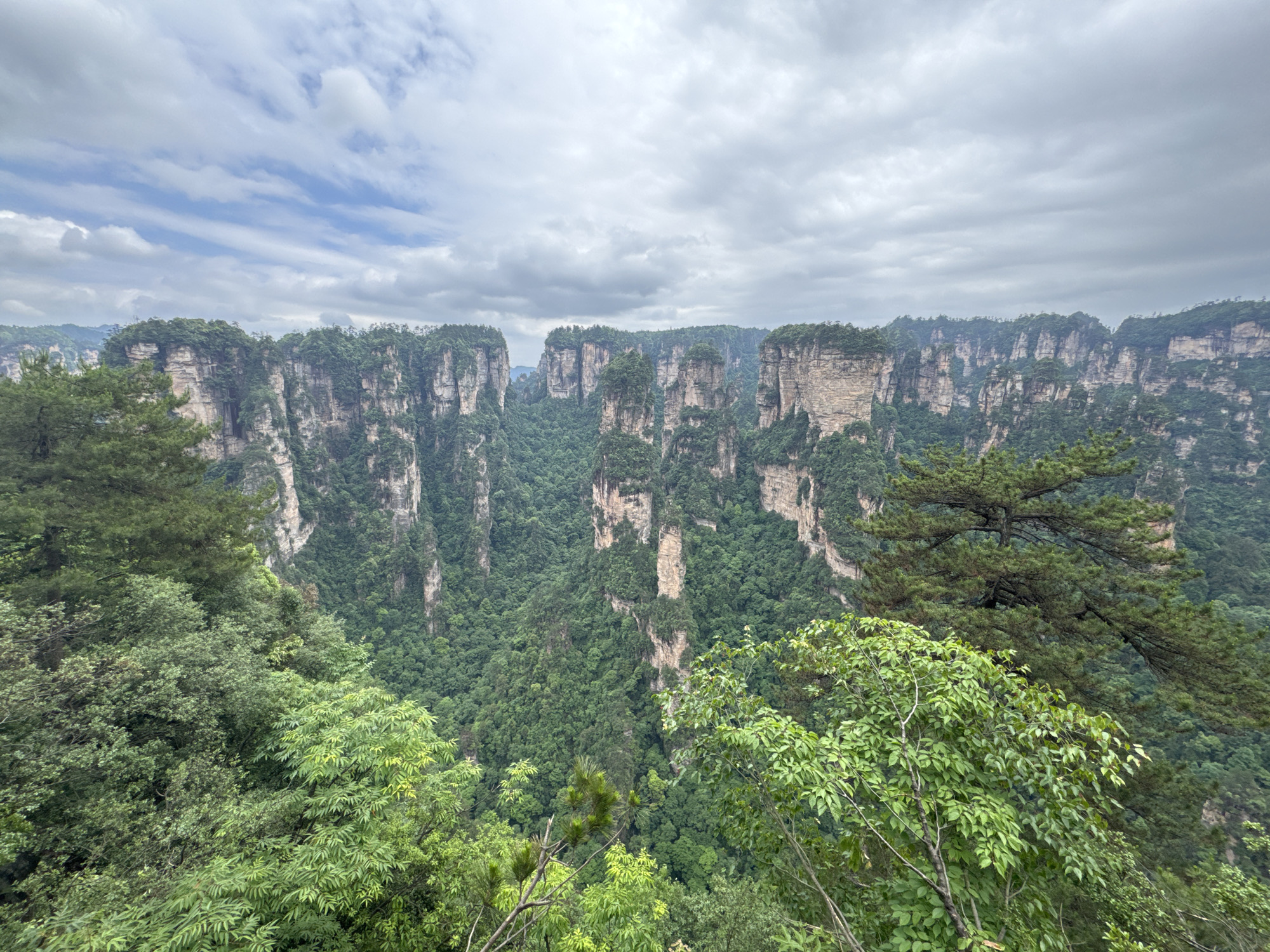 Tourists photograph Zhangjiajie's towering sandstone pillars from scenic overlooks