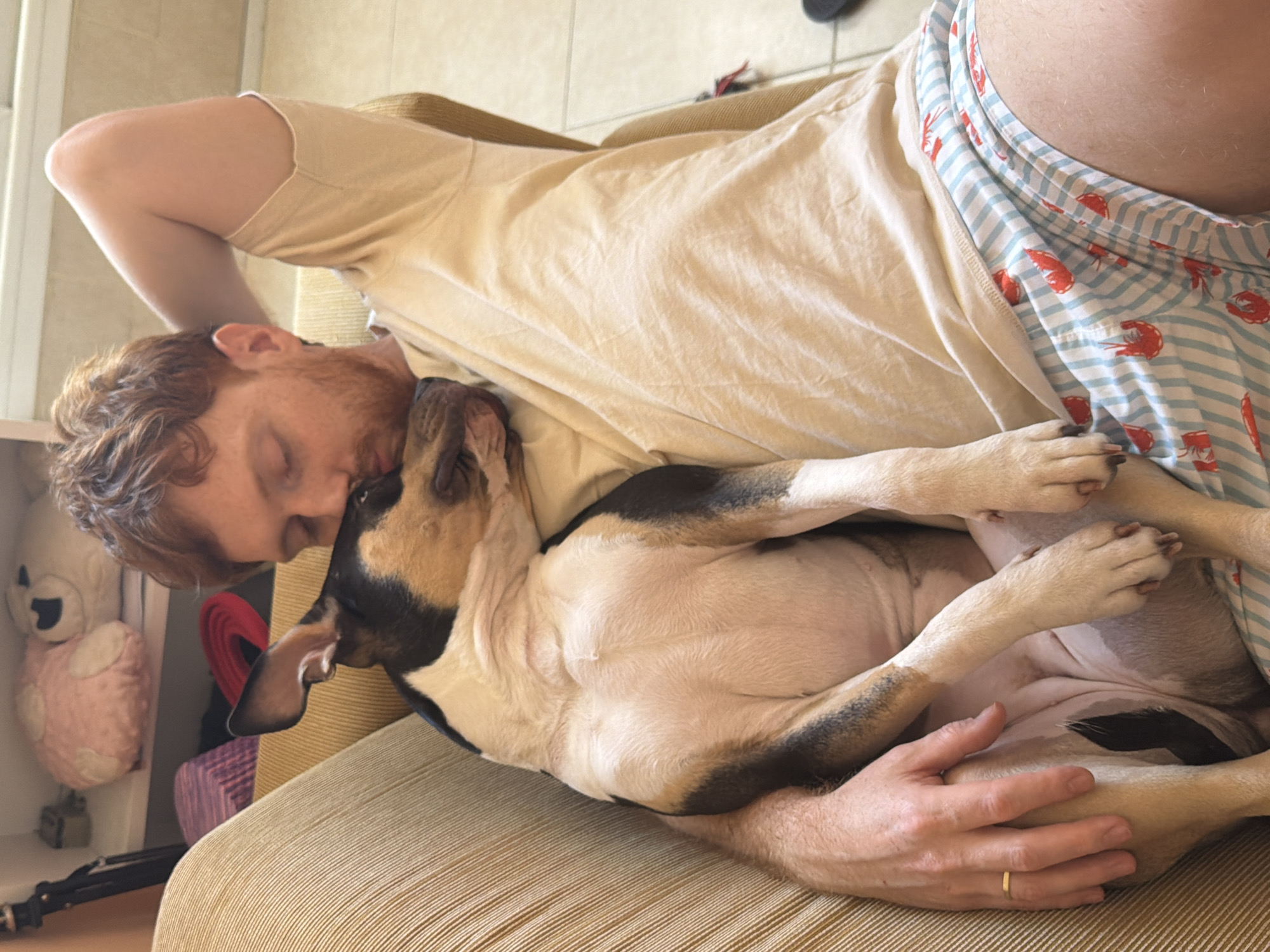 Man relaxes with dog on couch in Tel-Aviv