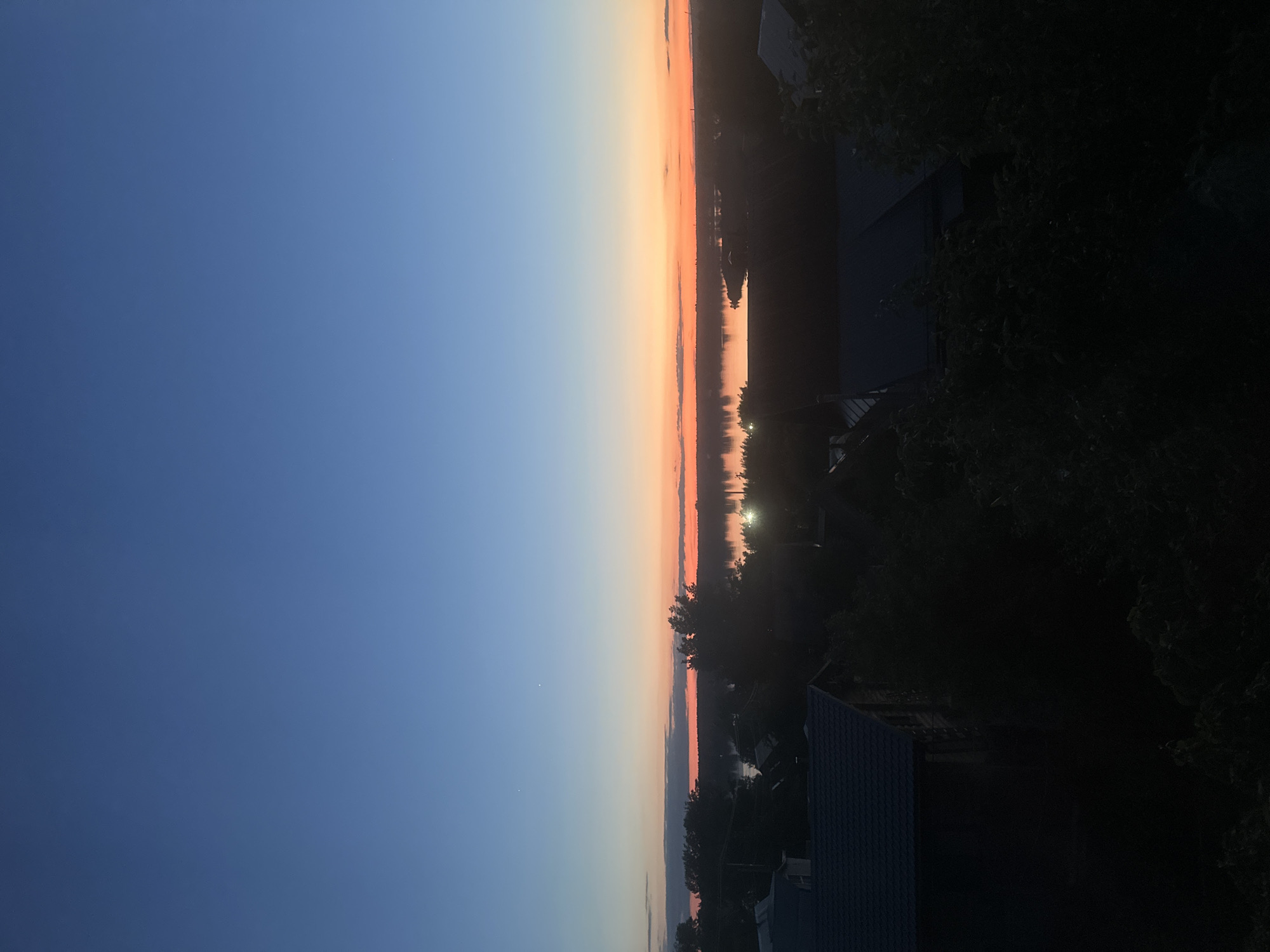 Evening flower blooms and twilight captured in Chaikovsky, Russia
