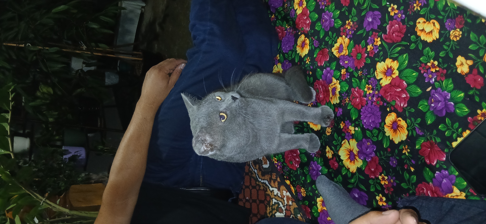 Charshanba, Uzbekistan