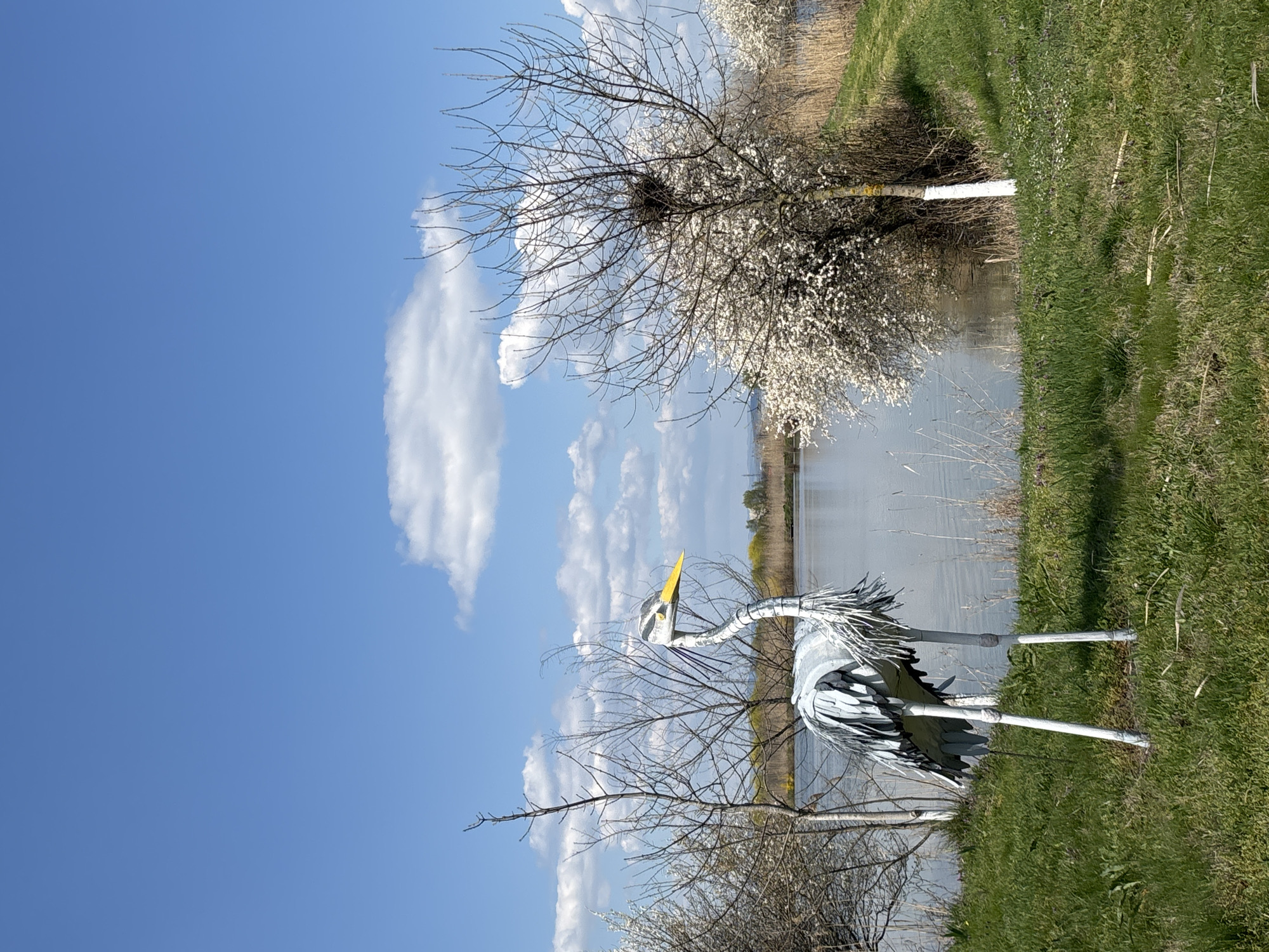 Spring day wildlife photography session captured at Burgas lakeside