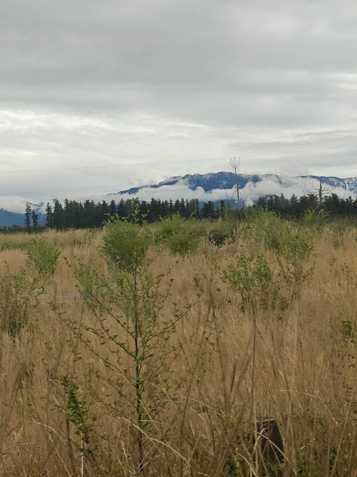 Overcast mountain landscape captured in five sequential rural memories