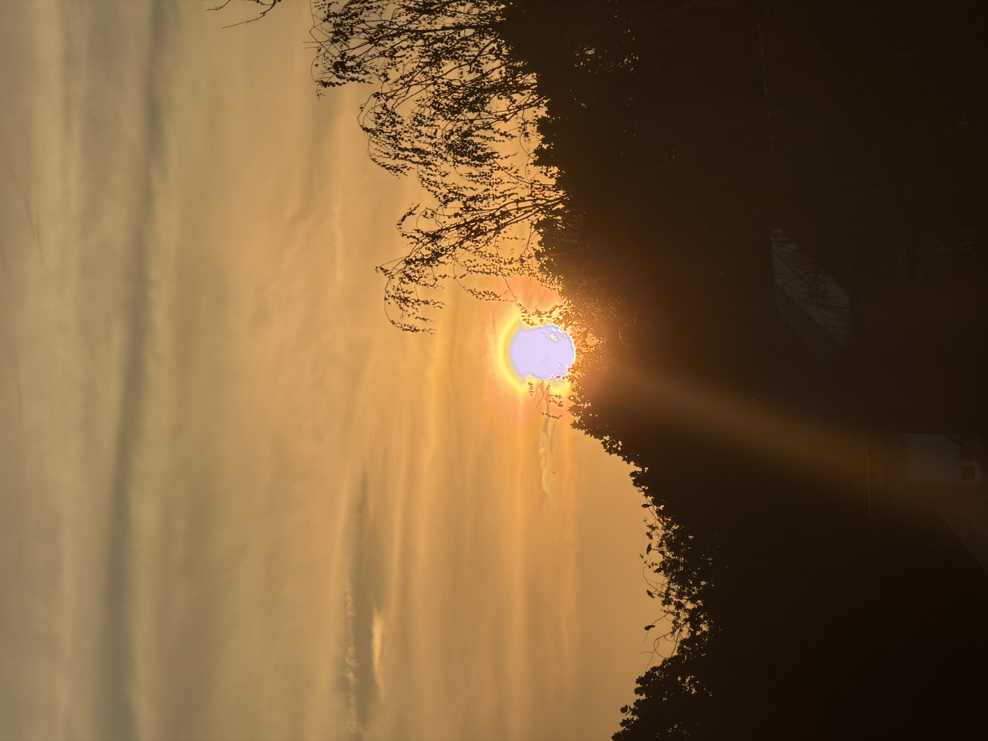 Golden hour over Esch-sur-Alzette, birds and a cyclist in frame