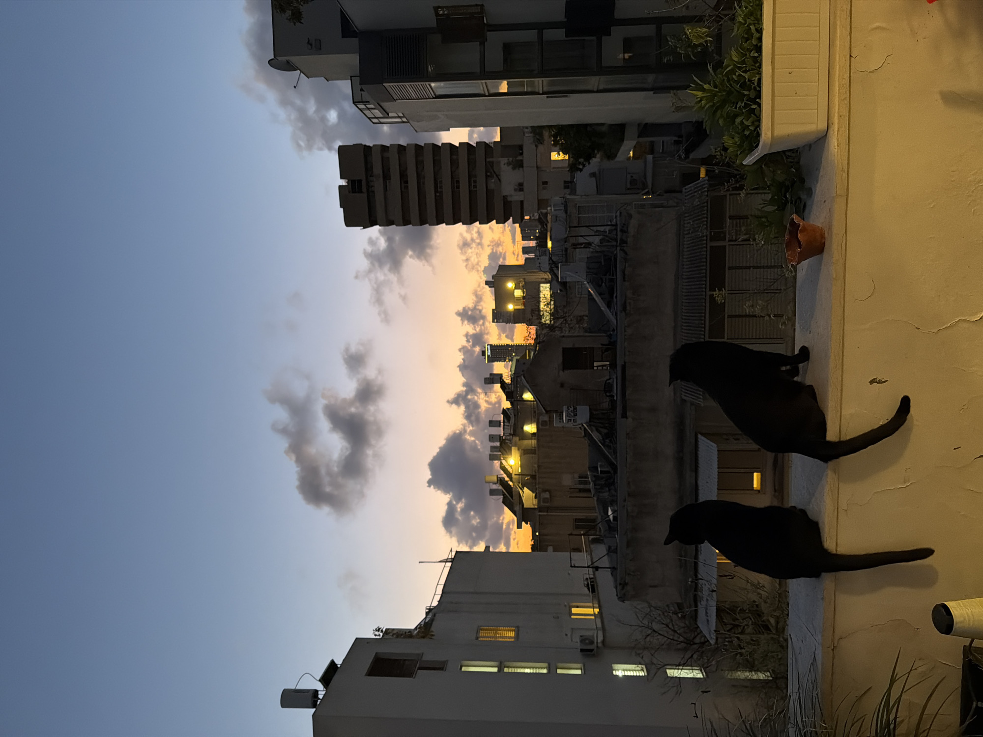 Tel Aviv skyline captured during dusk hours