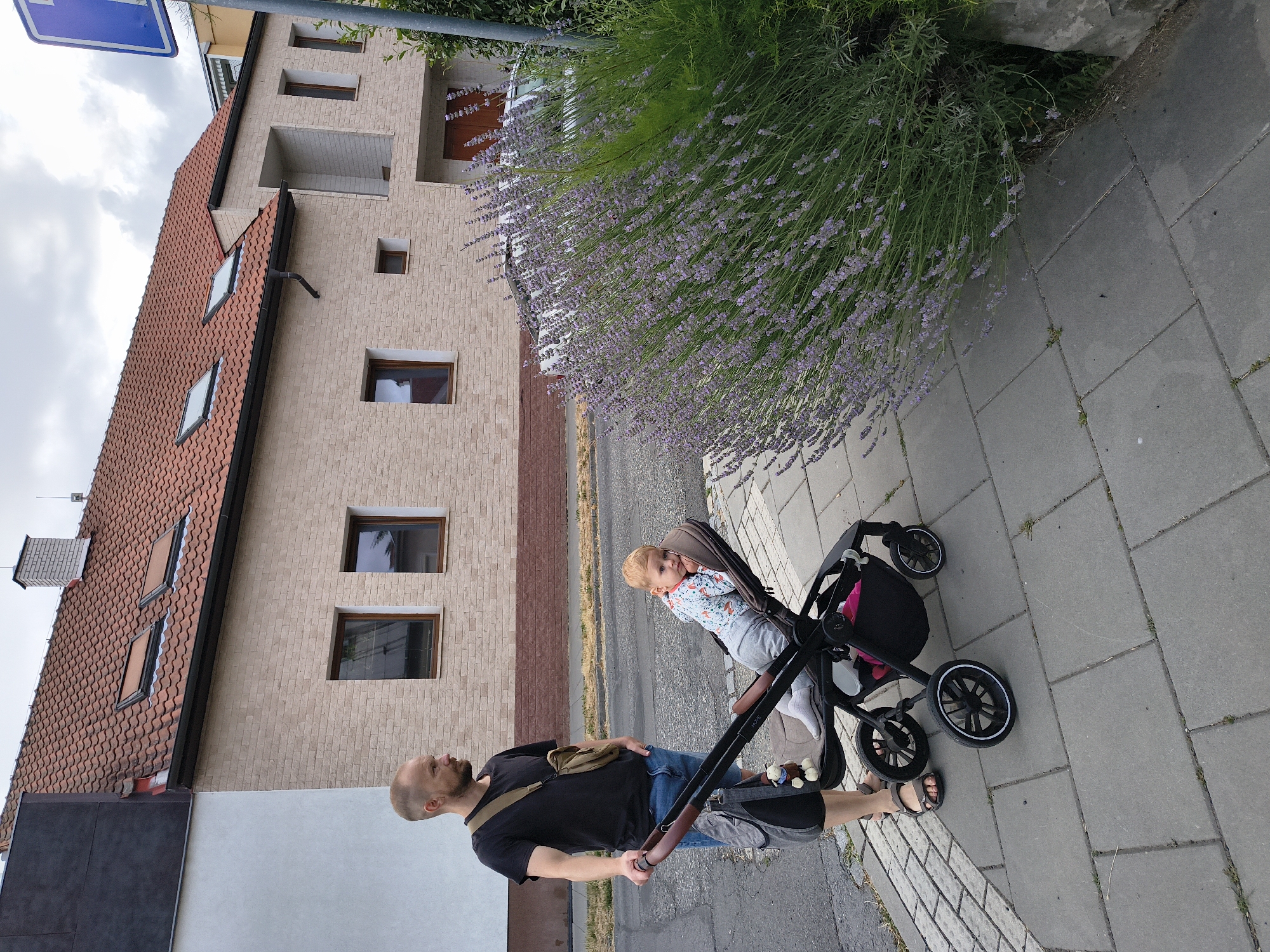Summer afternoon stroll through Olomouc, flowers and streetscapes