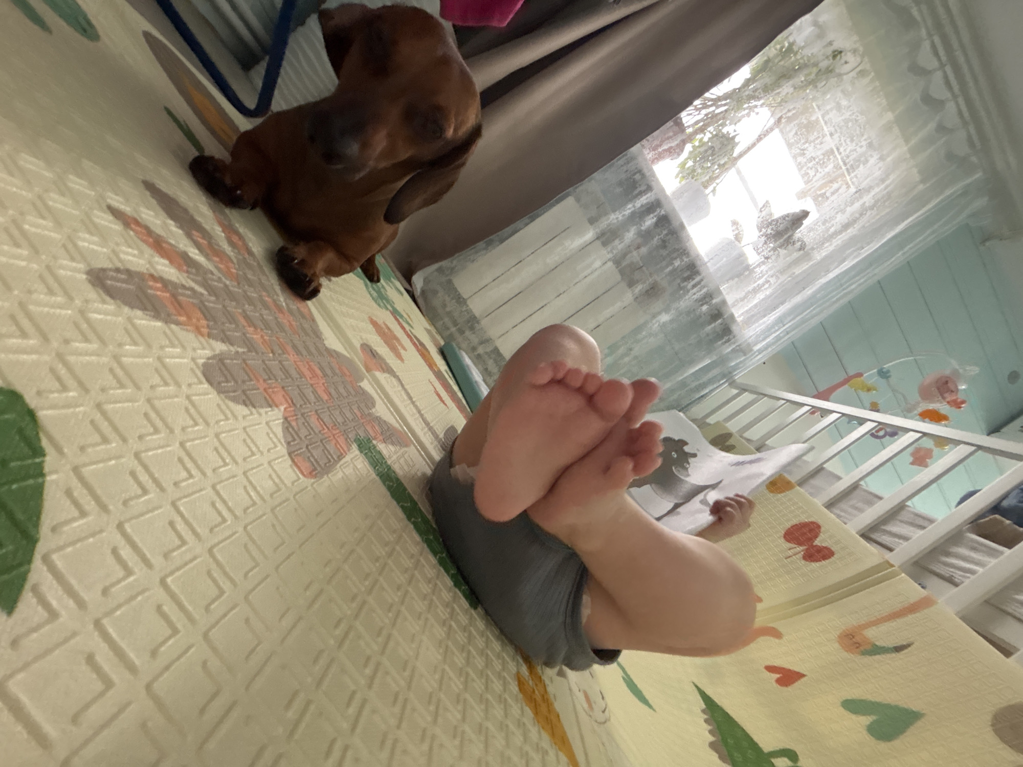 Family moments with baby, dog documented in Russian village
