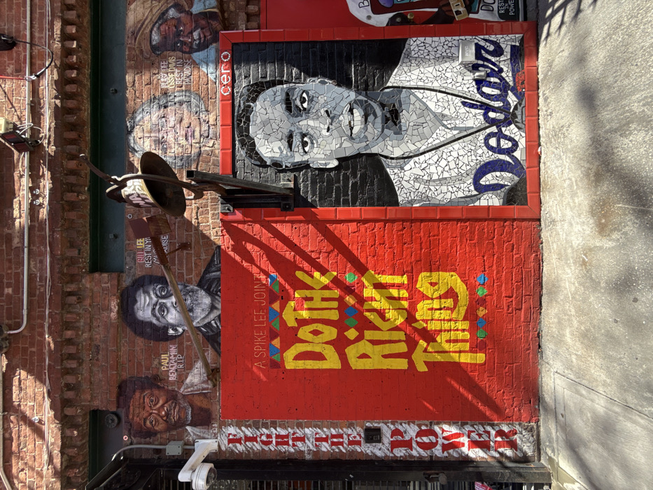 NYC street life documented across Brooklyn and Manhattan neighborhoods