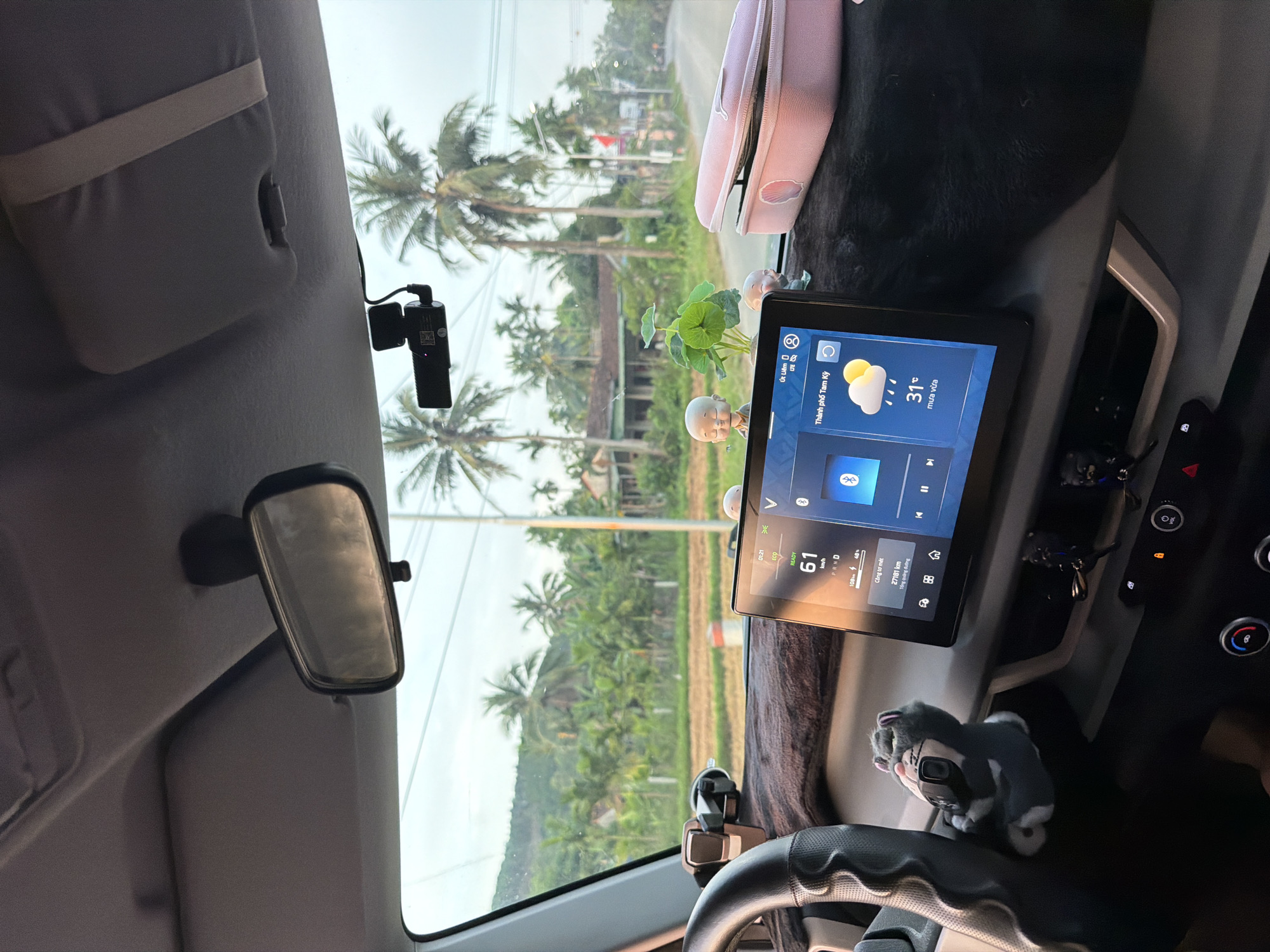 Evening drive through tropical countryside in Bình Chương, Vietnam