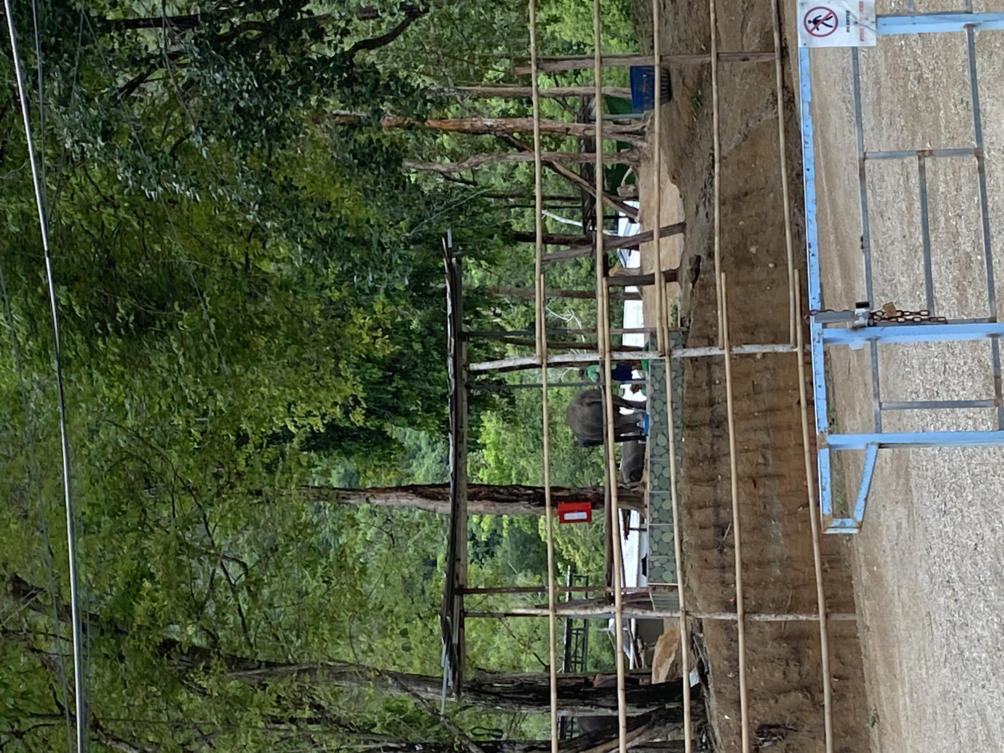 Morning scenes captured in Choeng Thale: elephants, construction, luxury car
