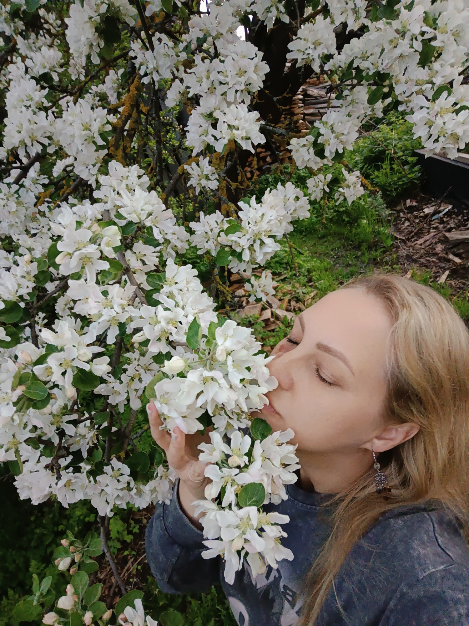 Woman enjoys spring blossoms in rural Belozersk at twilight