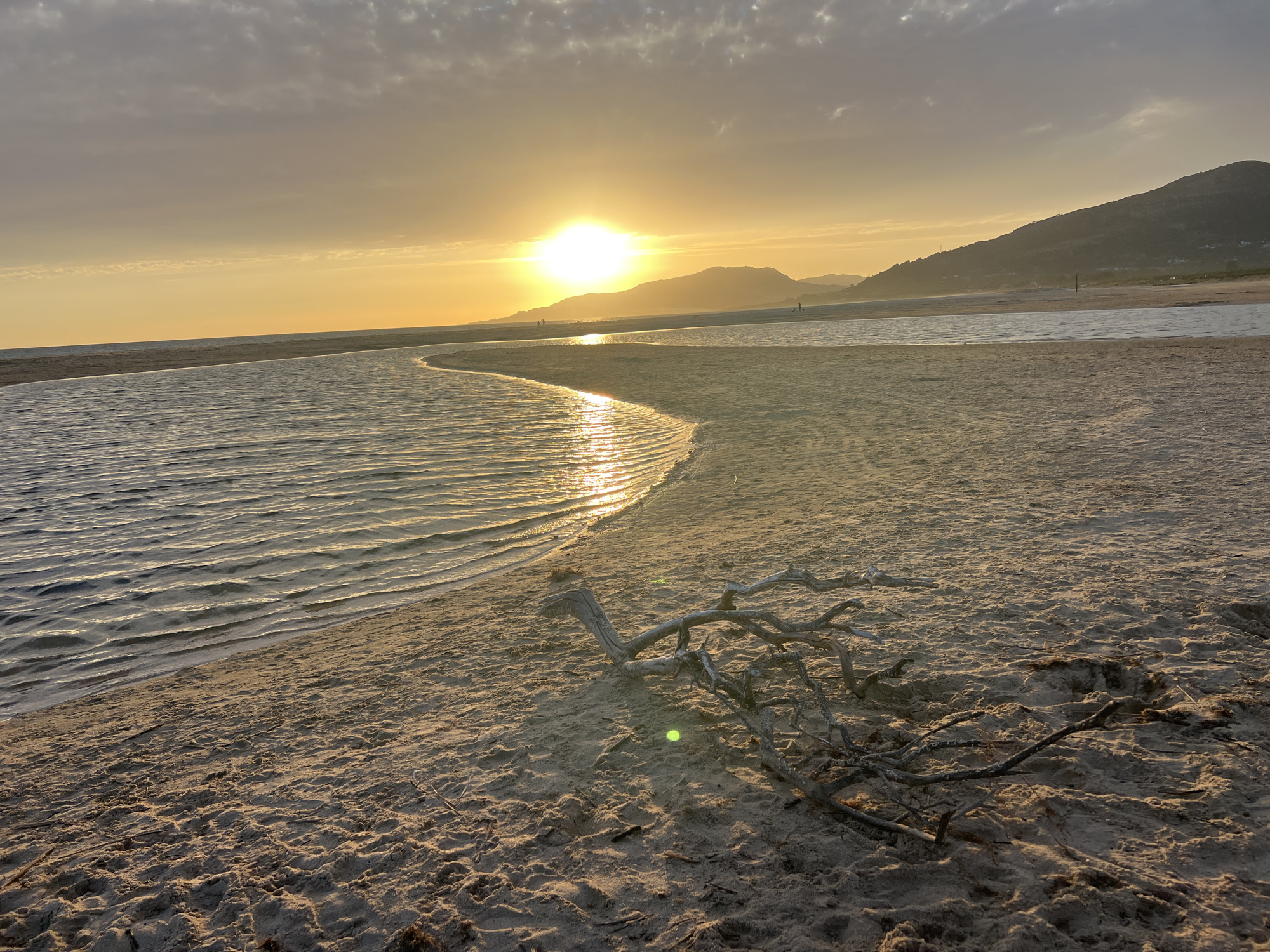 Sunset along the Tarifa coast, birds, water, and wind turbines