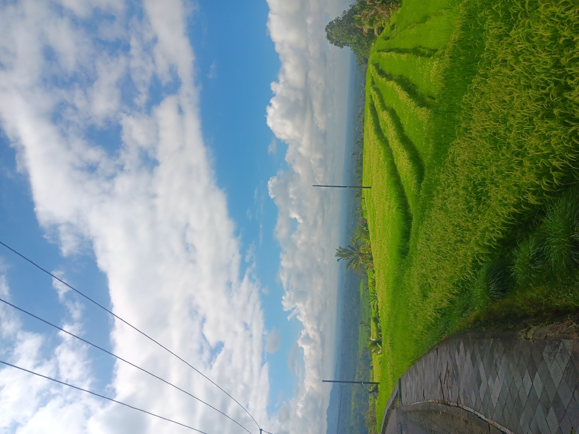 Early morning documentation of Jatiluwih Rice Terraces, Penebel