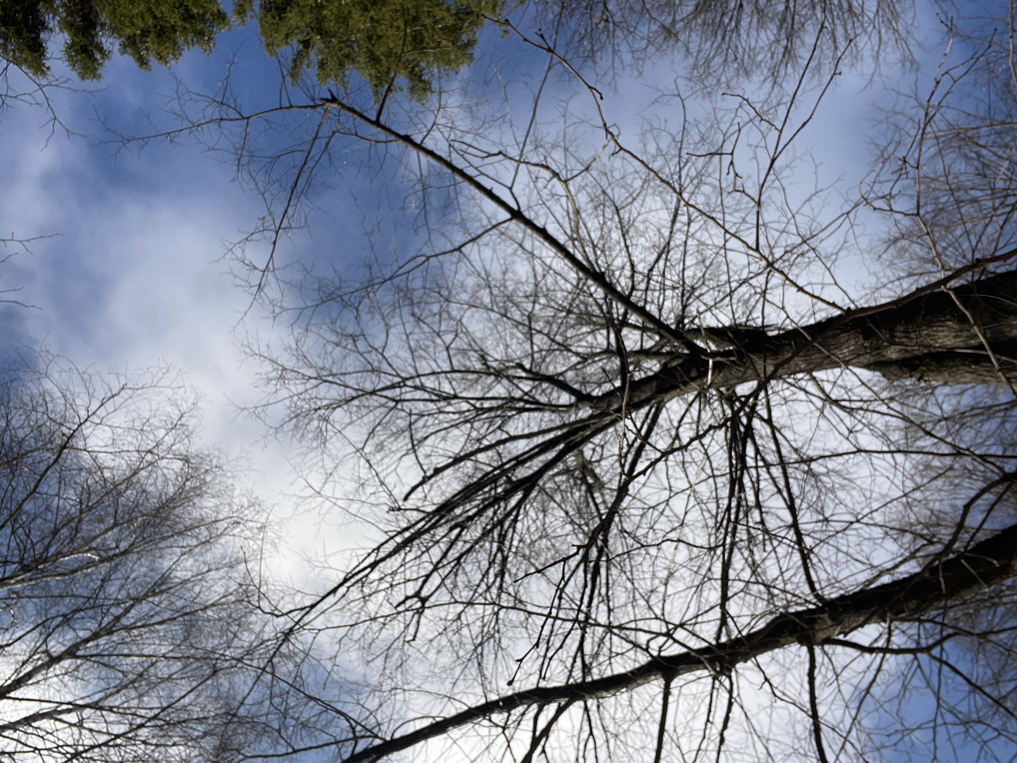 Spring awakening documented across rural Zhigalki, Russia