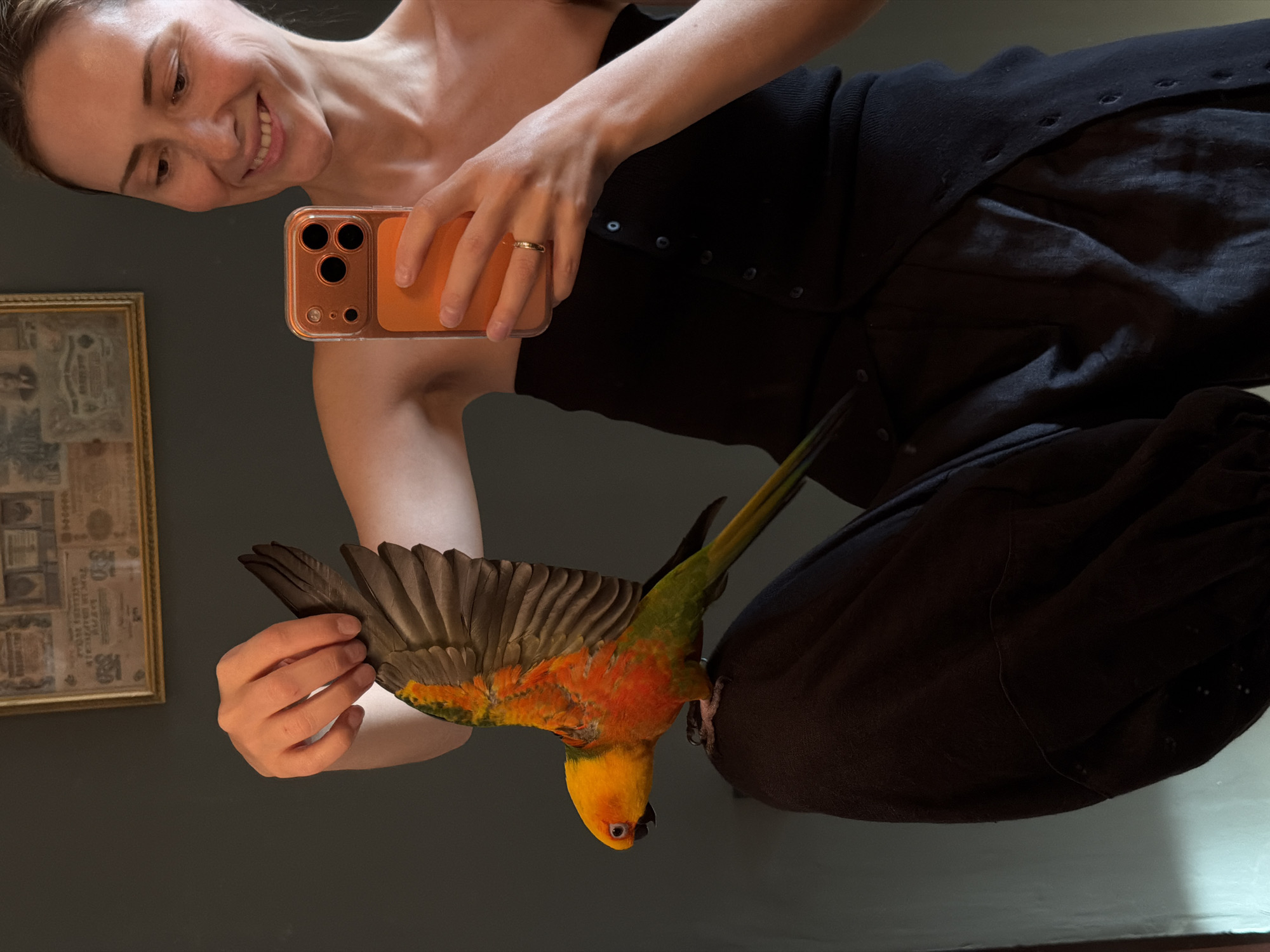 Afternoon at home with a sun conure and a chinchilla