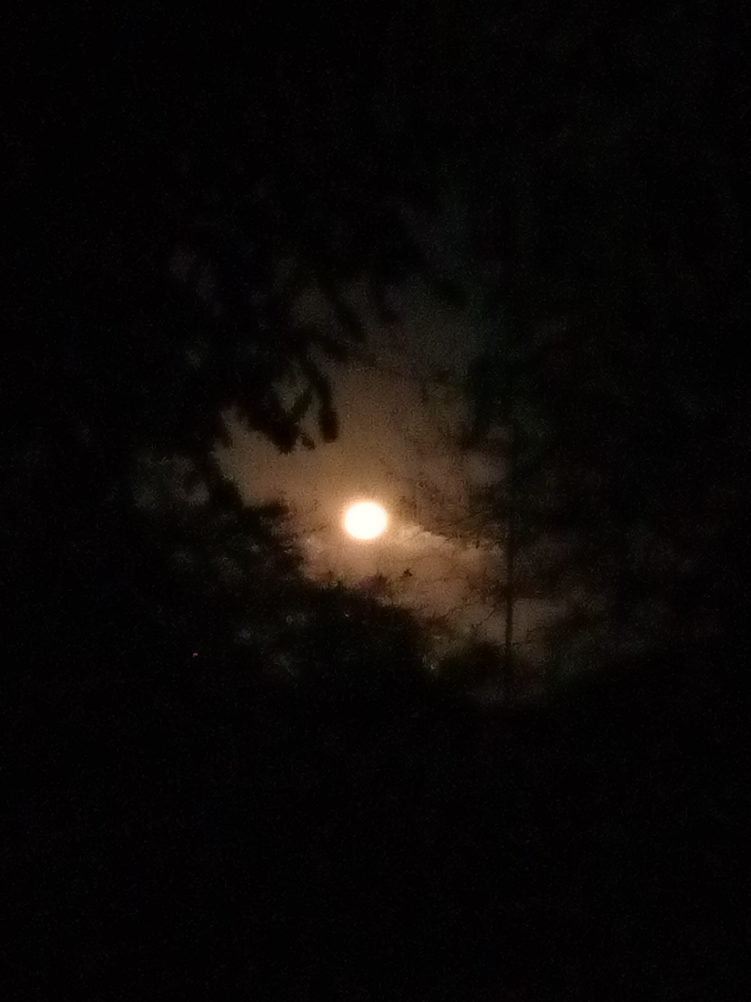 Full moon observed across Venezuelan towns on April night