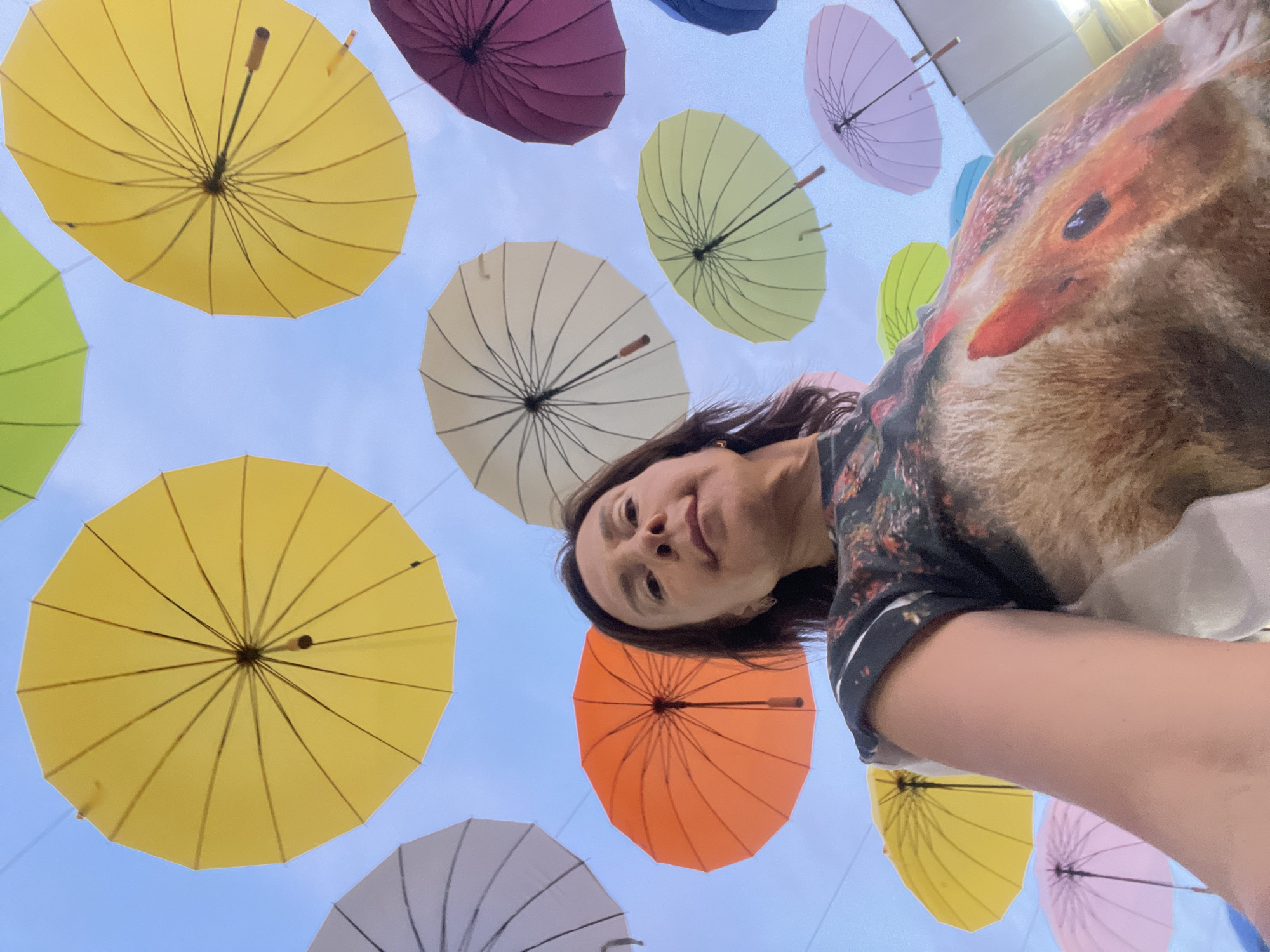 Woman captures selfie under umbrella art installation in Sochi