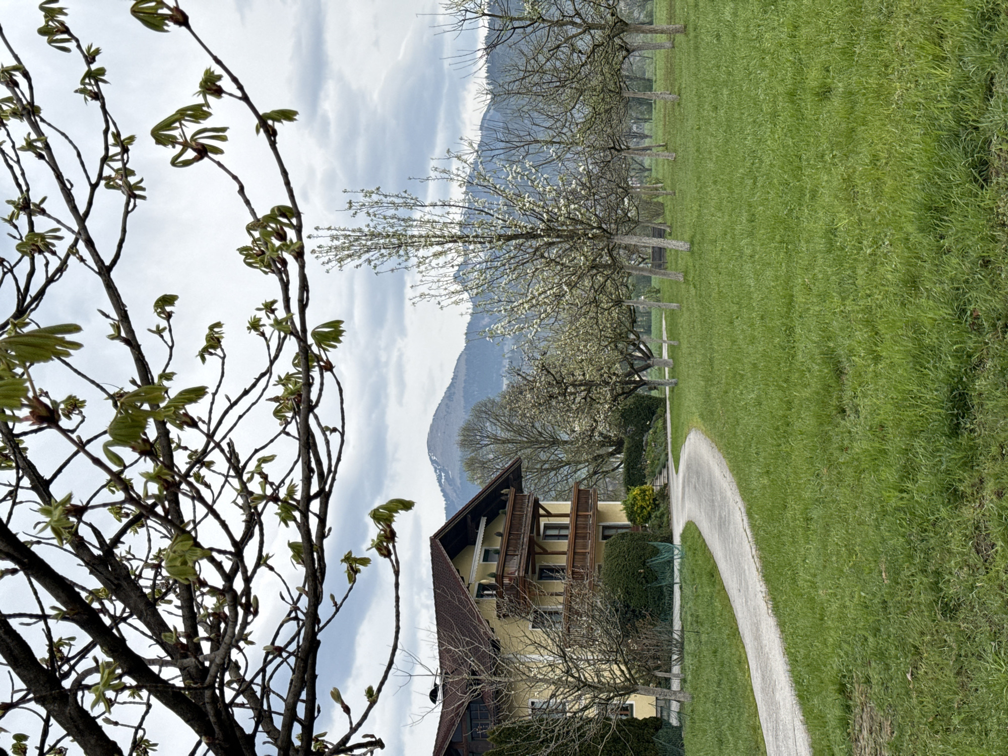 Spring morning scenes documented in Austrian residential settlement