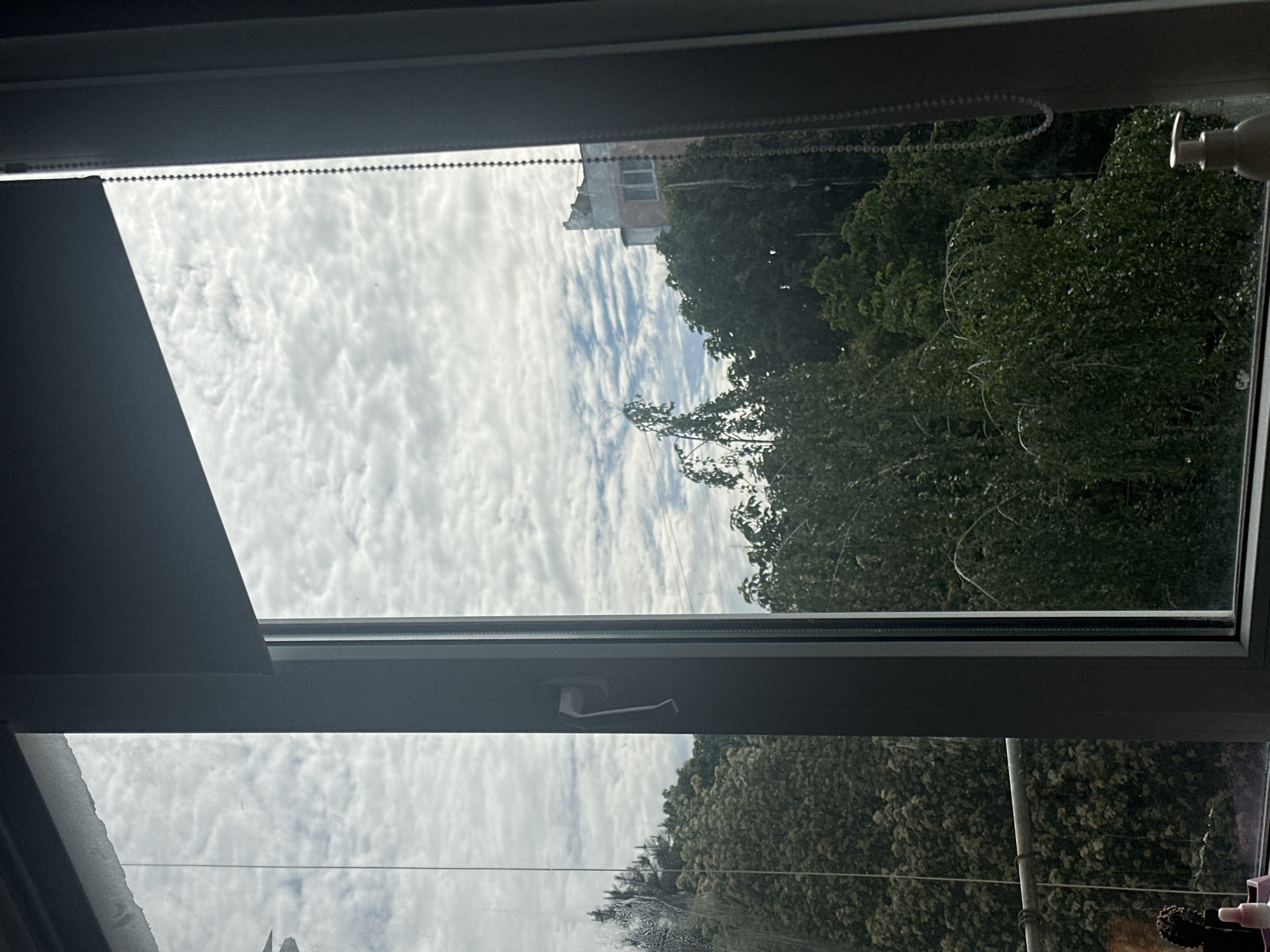 Morning indoor scenes with cat captured in Stavropol