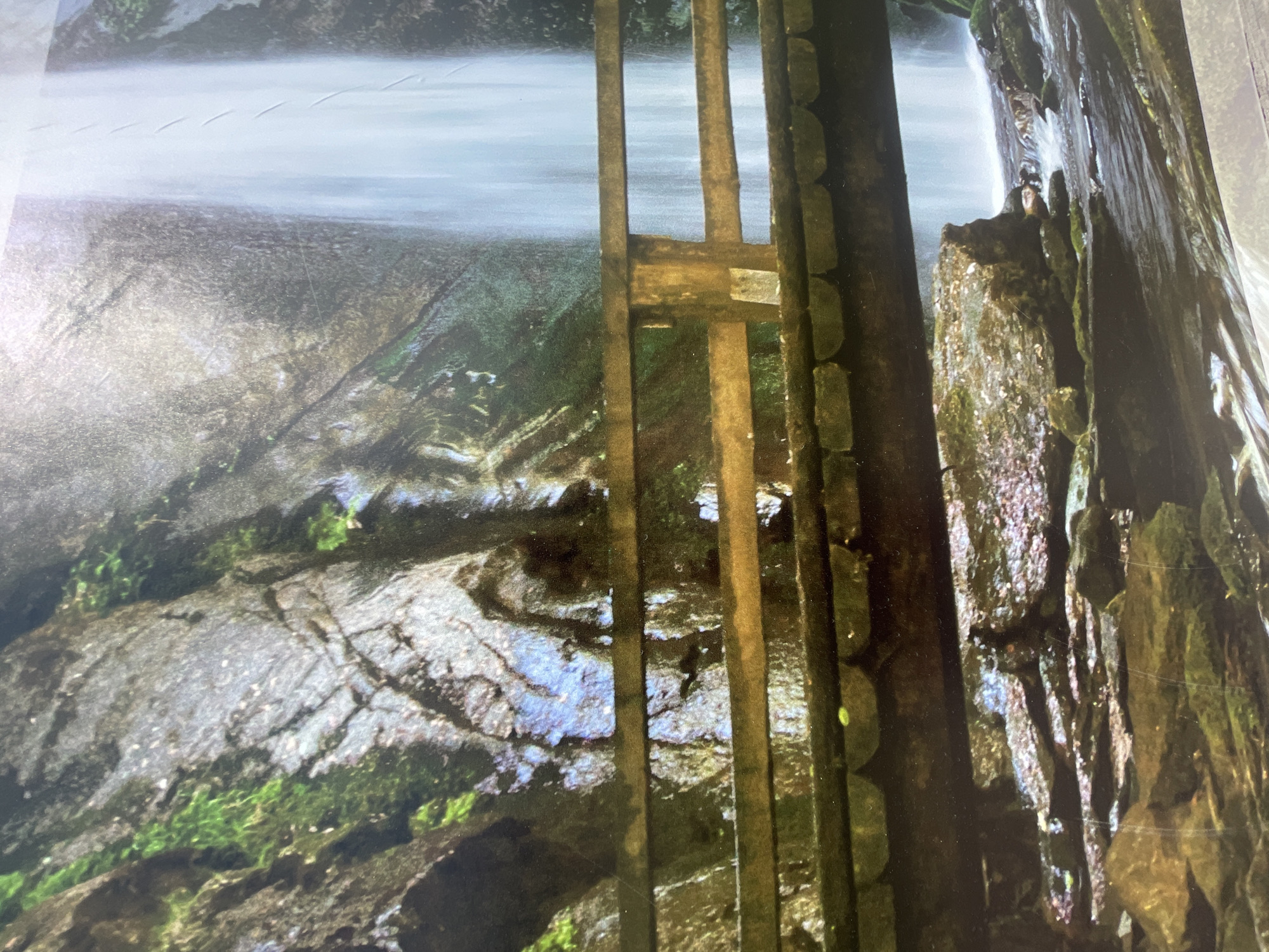 Nature photography session captures Petrich's scenic landscapes