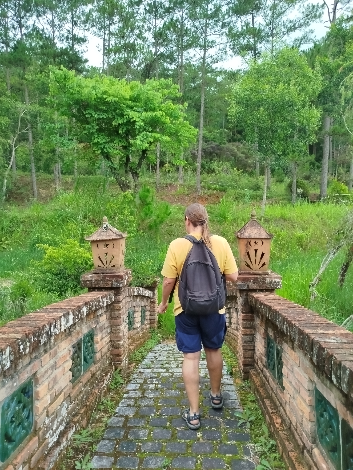 Morning forest walk documented at Cam Ly Da Lat Vietnam