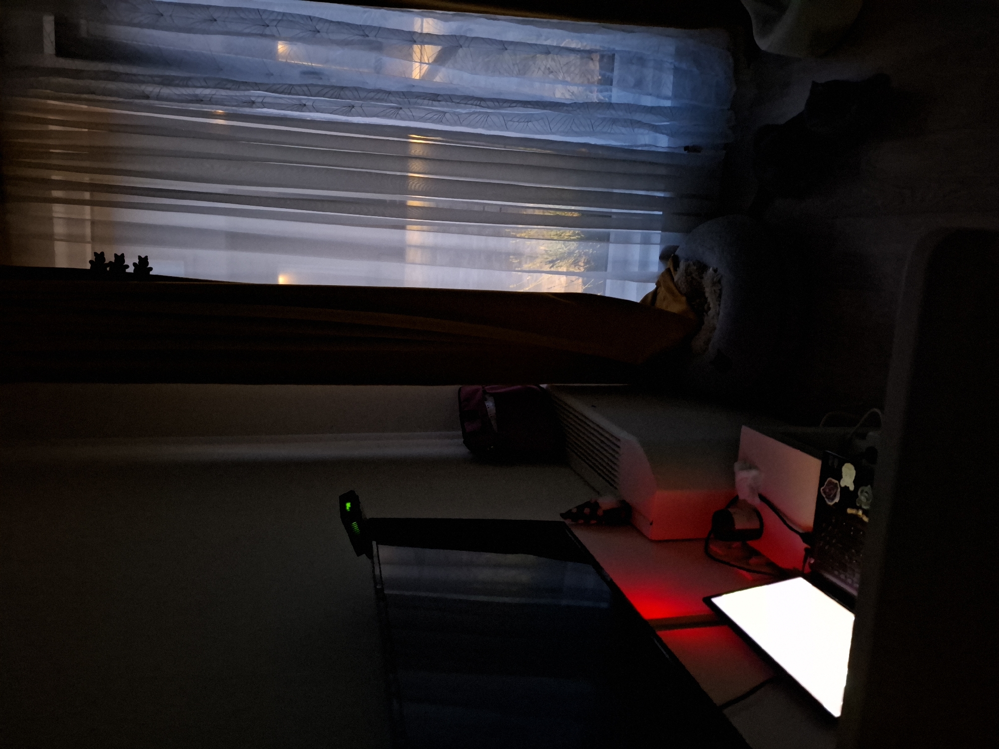 Late night domestic moments captured in Zemun apartment