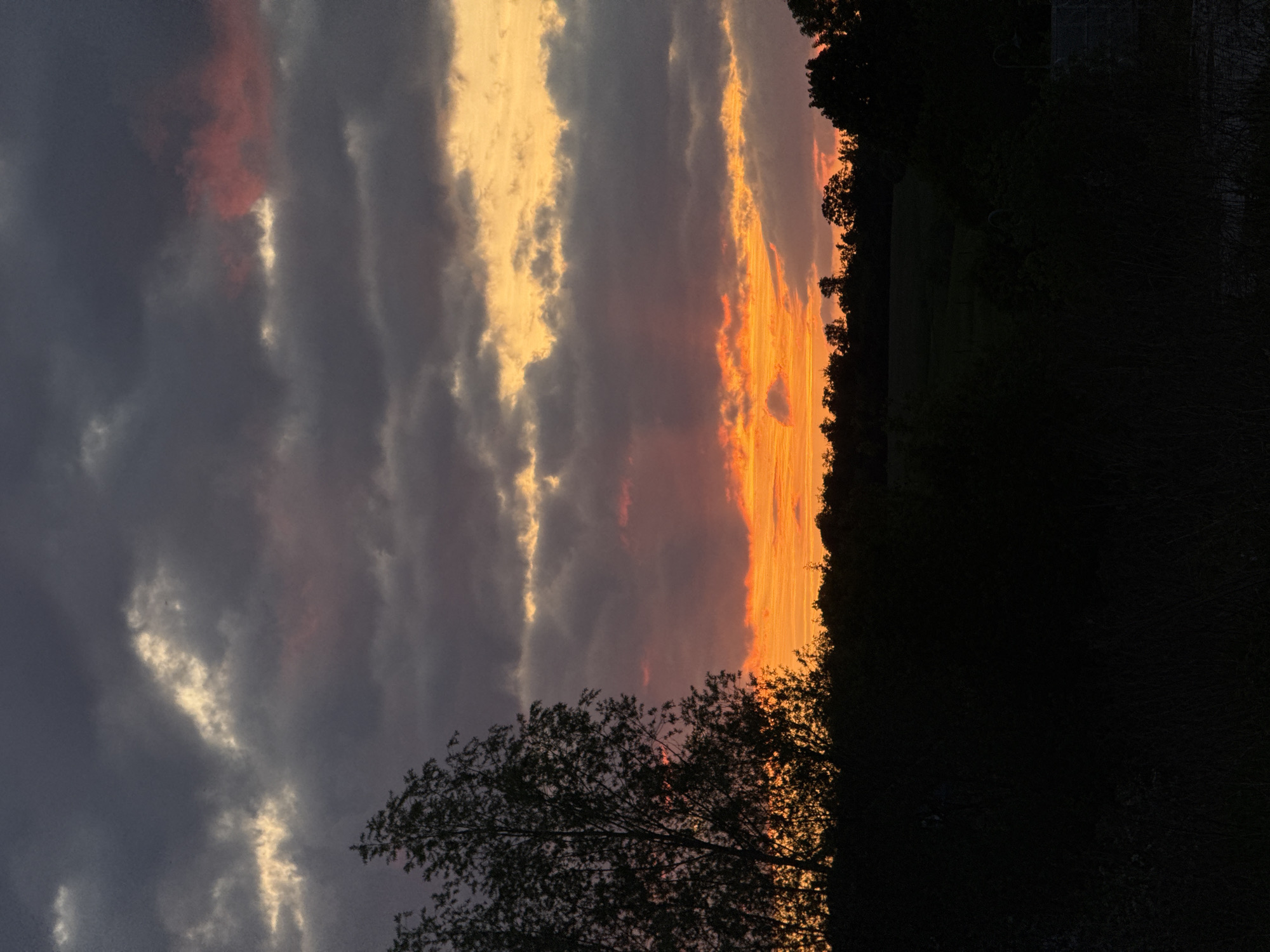Evening dog walk captured during dramatic sunset in Luxembourg