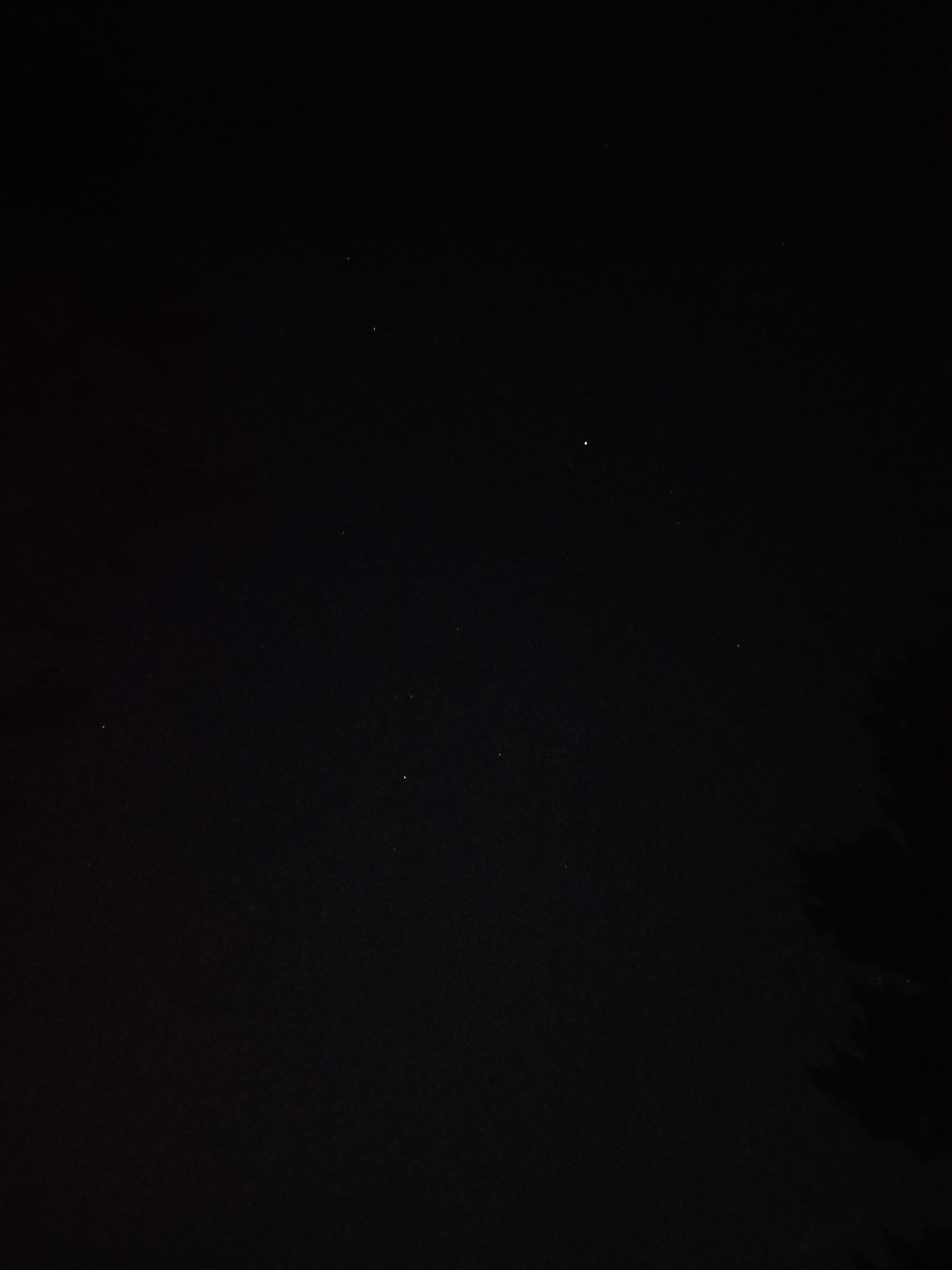 Sofia resident documents starry night, internet memes in five-minute span