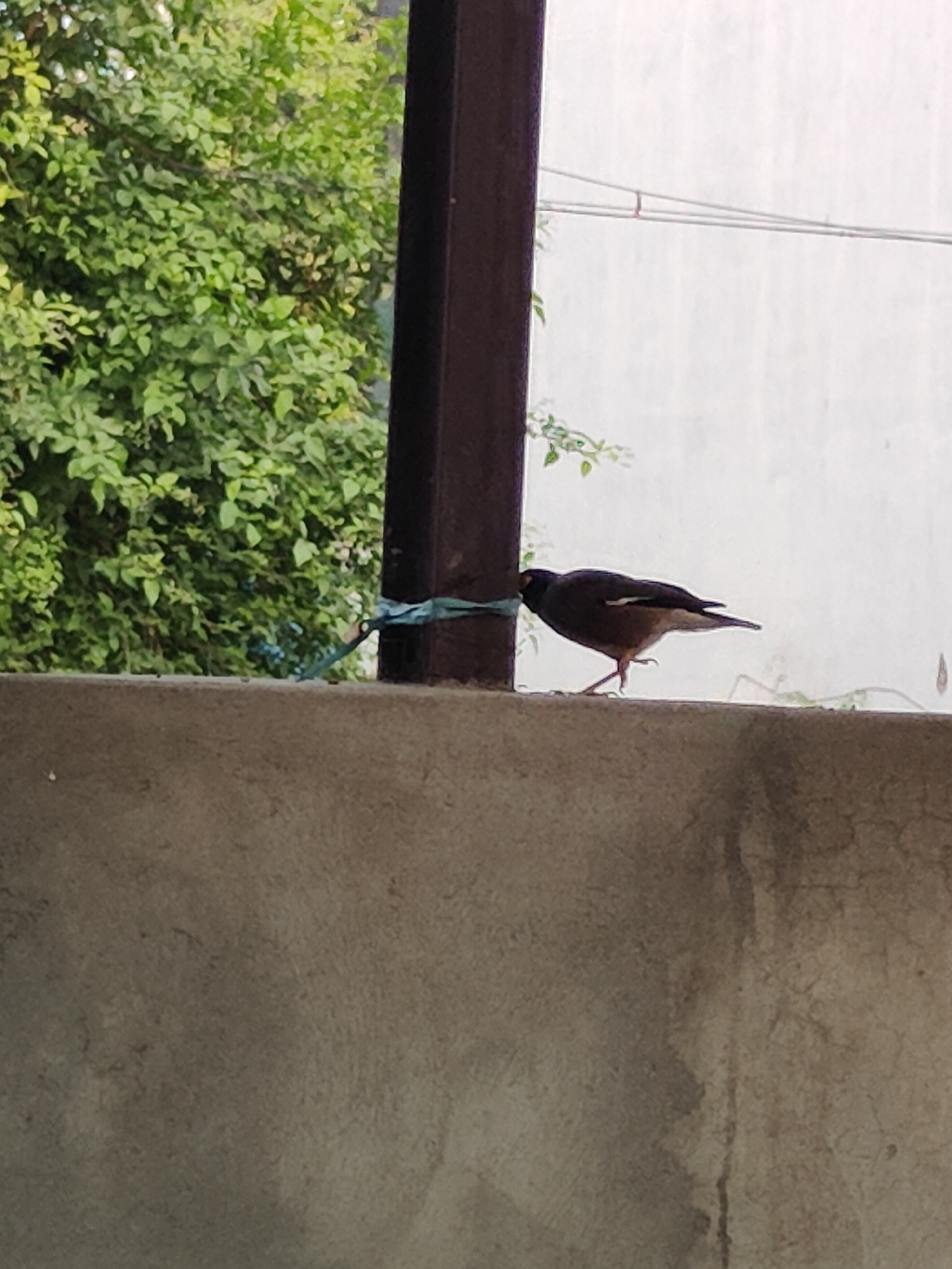 Gurgaon, India