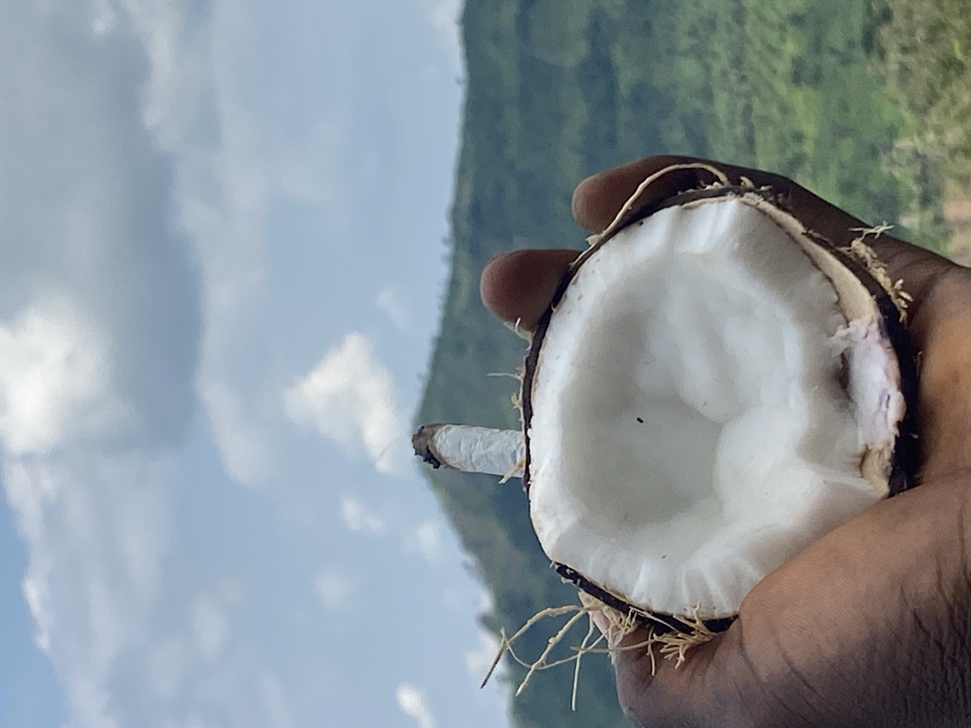 Coconuts, animal horns, and branded items arranged in Achara ritual
