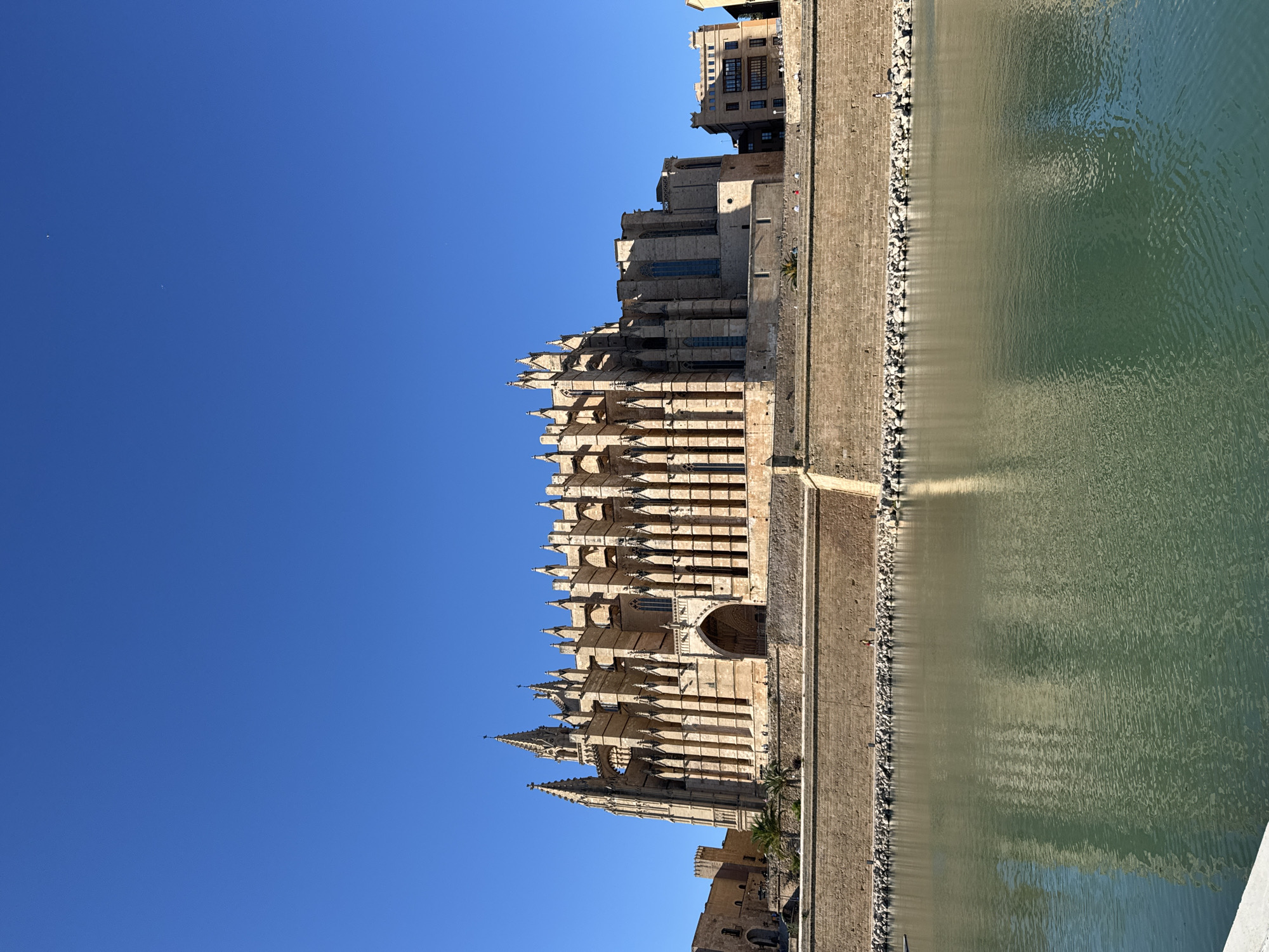 Gothic Cathedral La Seu observed in Palma, Spain