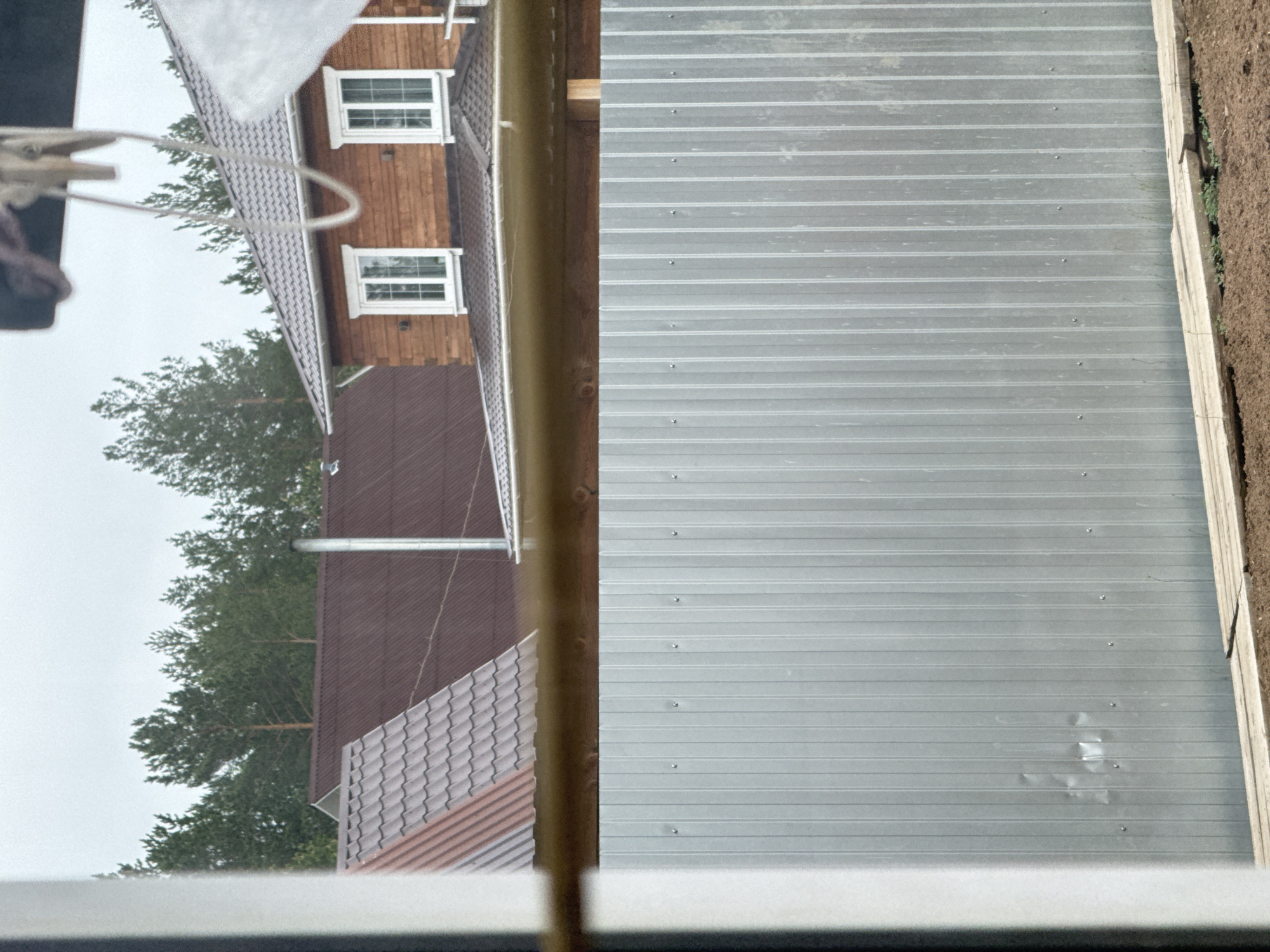 Morning observations: windows, lace curtains, and Toyota emblem documented