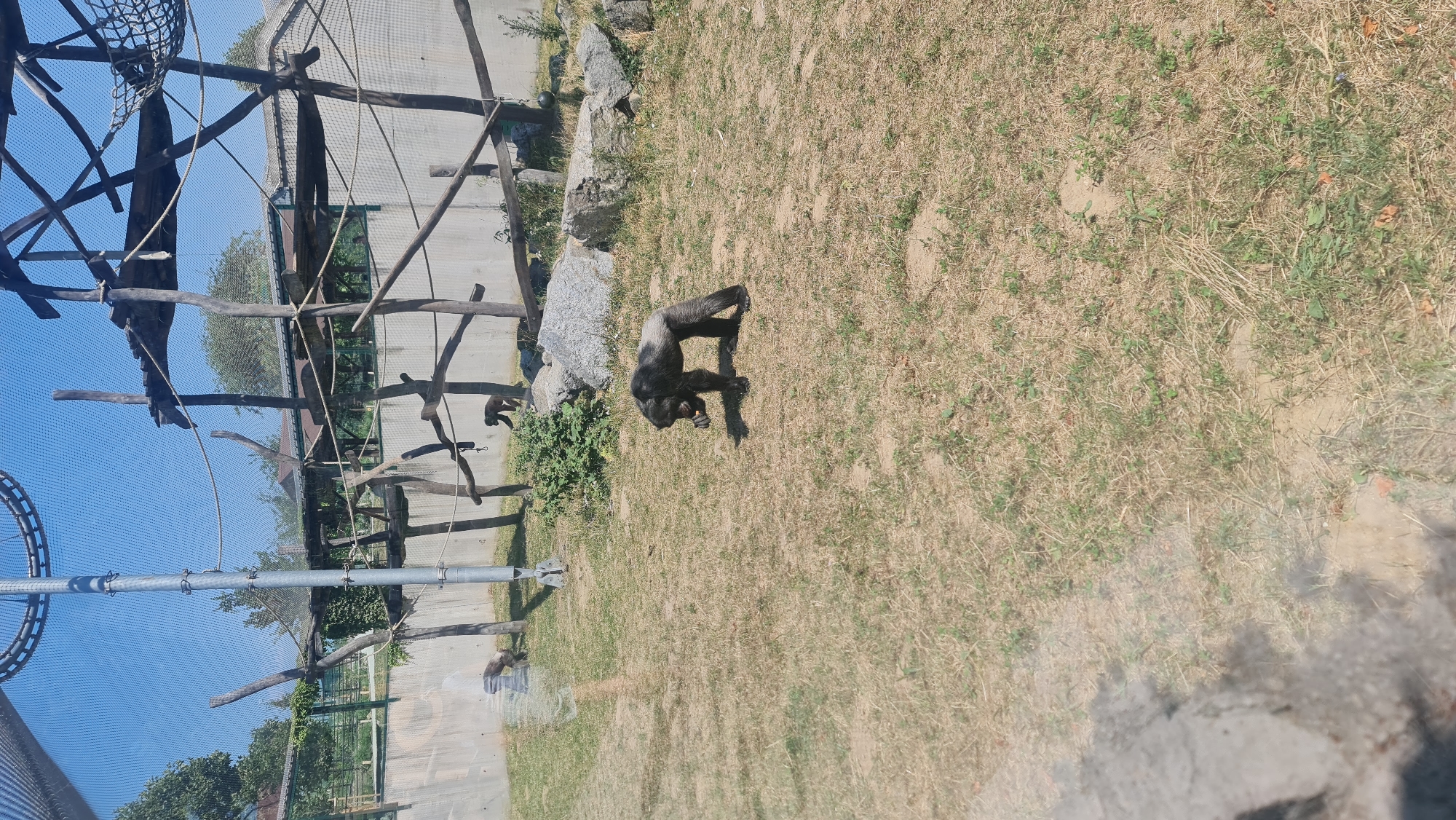 Morning walk through Bratislava Zoo, animals and grounds