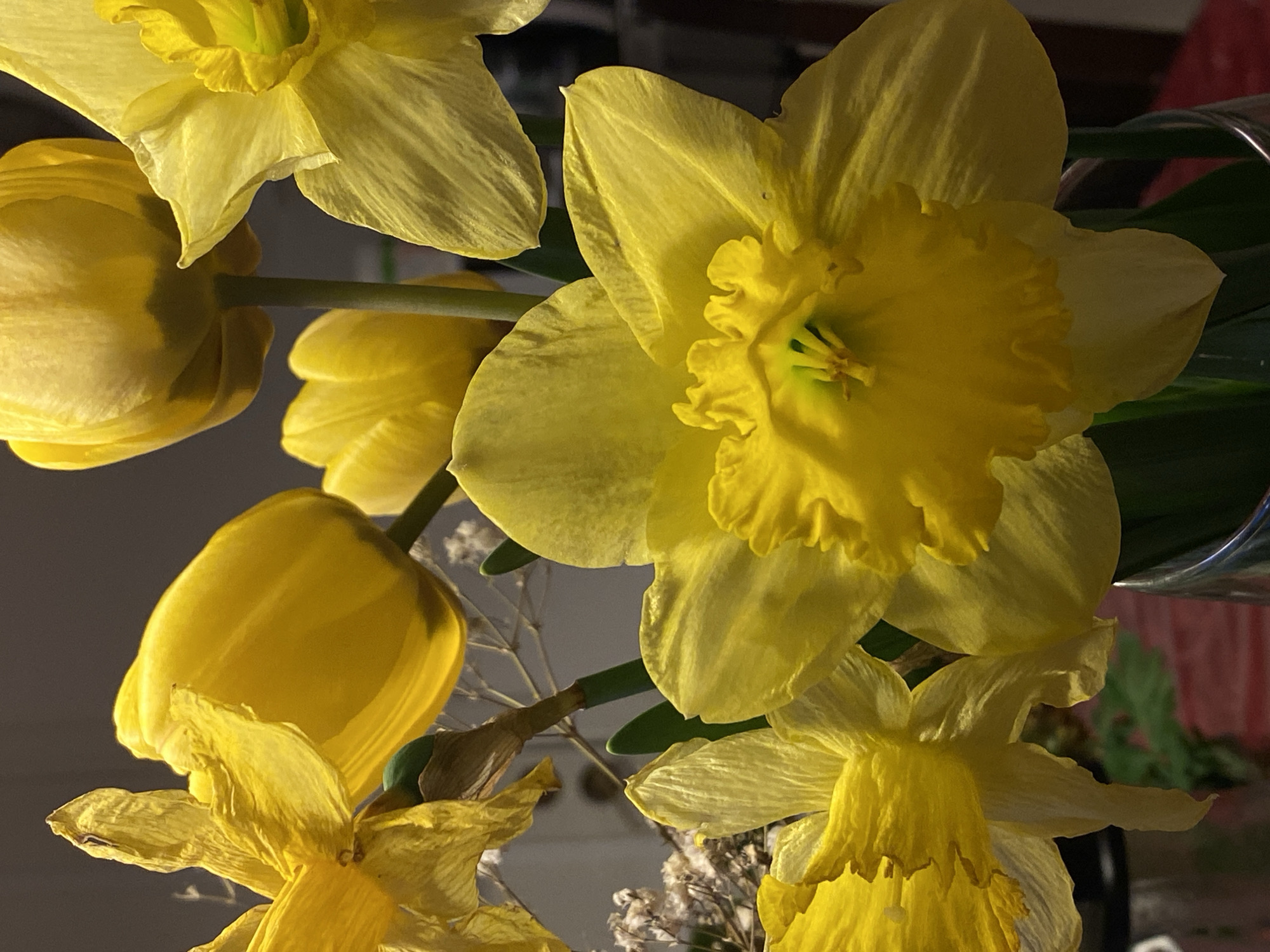 Spring flowers and quiet moments documented in Swedish home