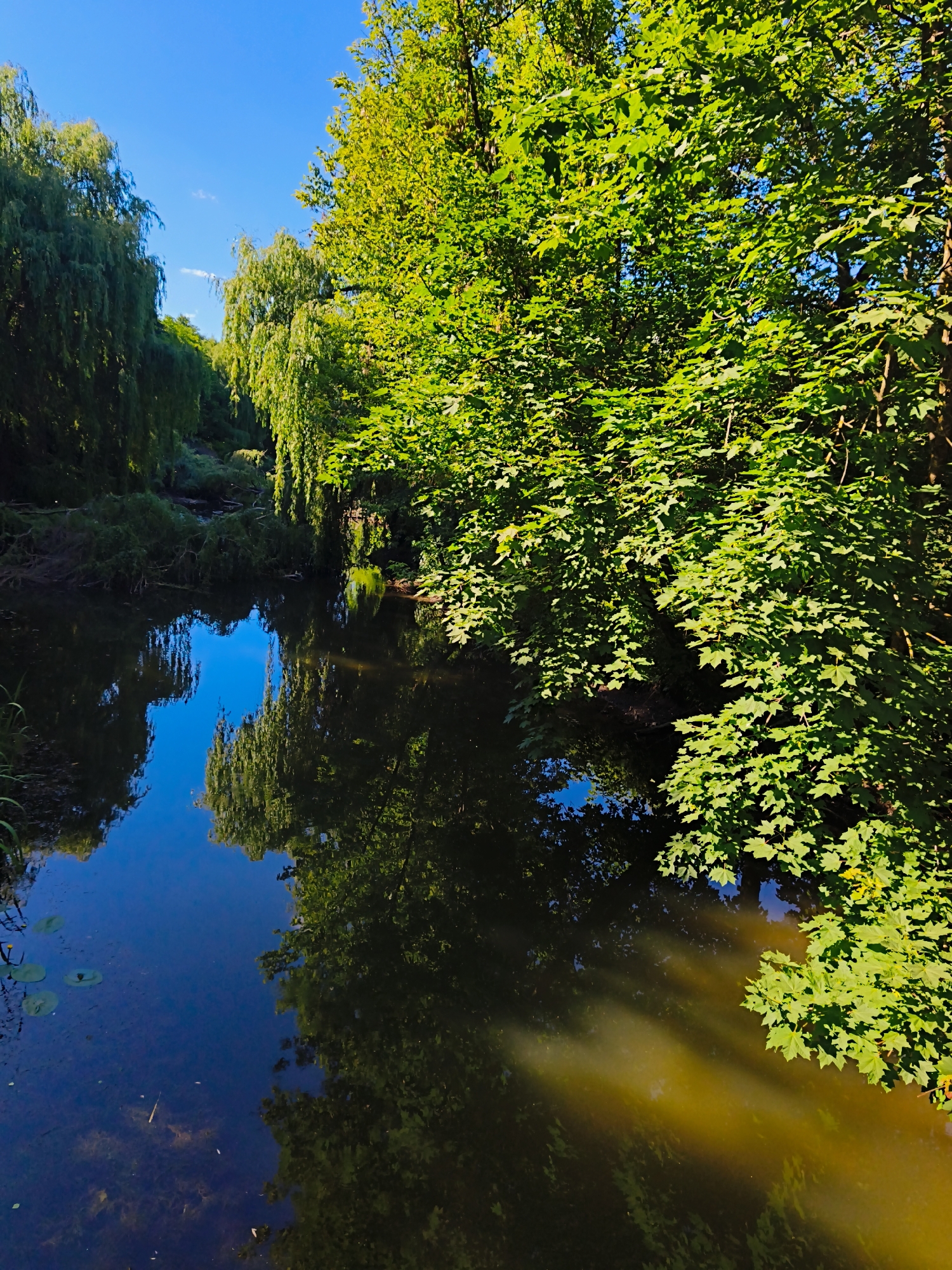 Ternopil Pond and parkland on a sunny summer afternoon