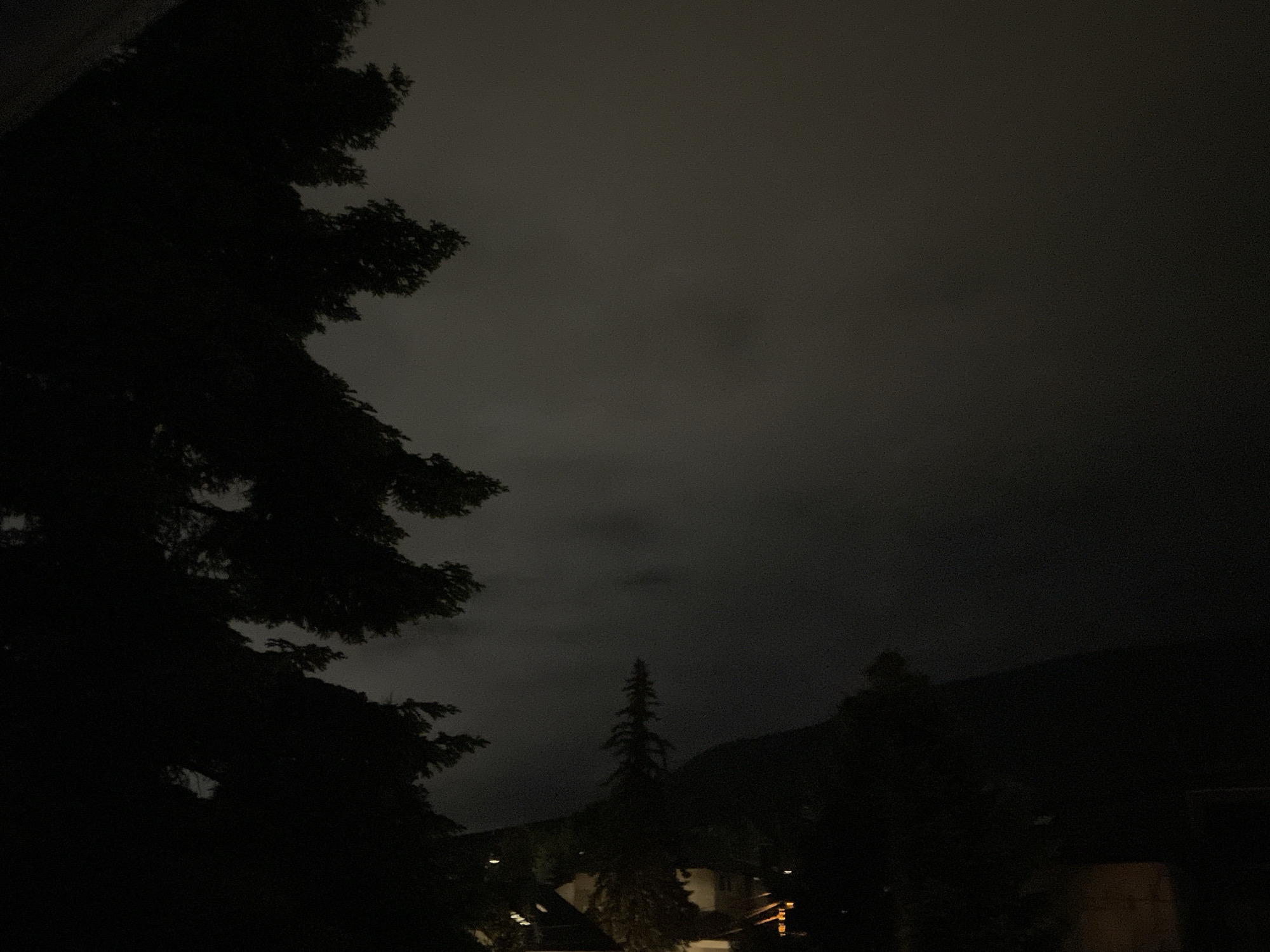 Nighttime urban scenes captured showing trees and lit buildings