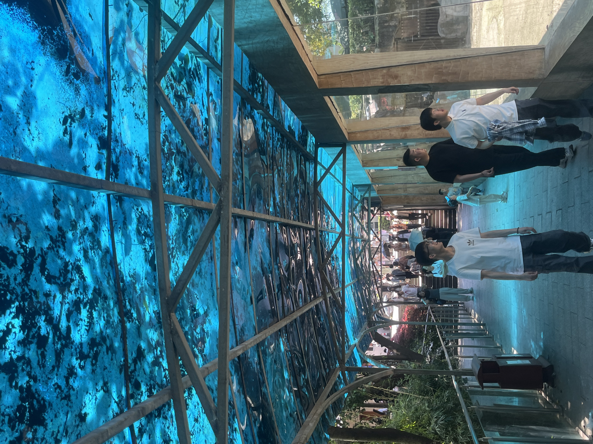 Early morning zoo visit documented in Jiulongpo District