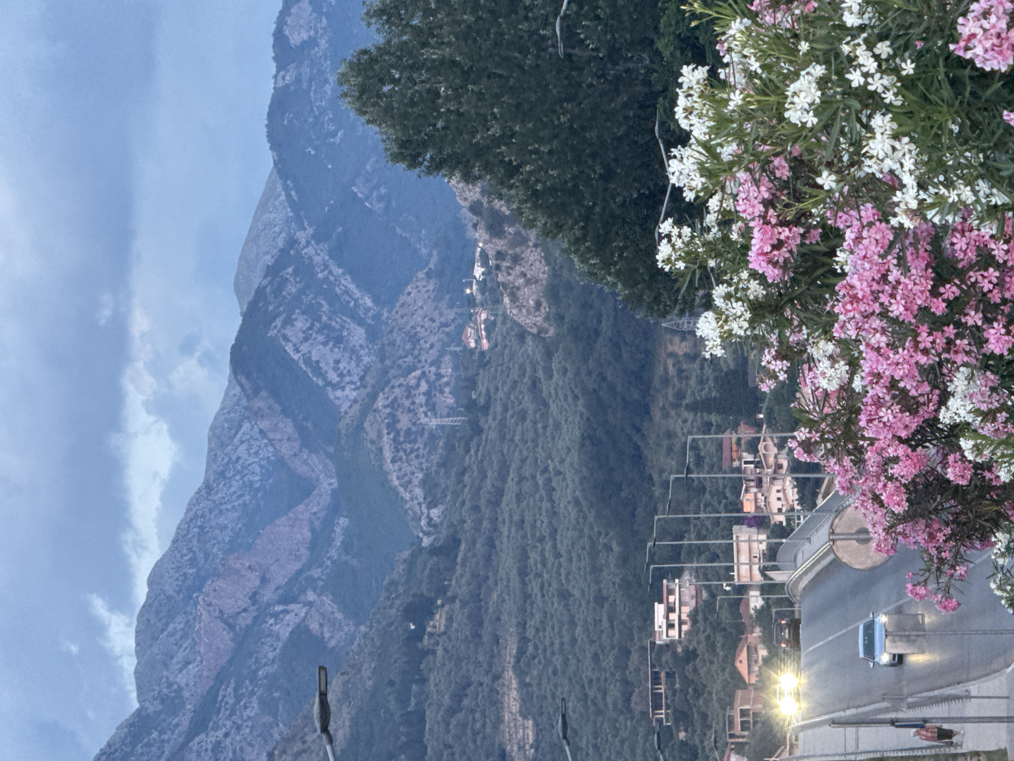Bar, Montenegro at dusk: streets, blooms, and city lights