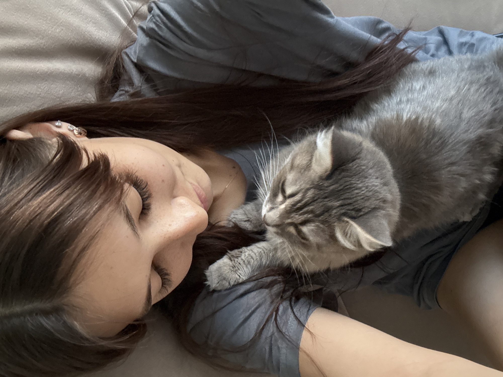 Cozy evening at home with a grey cat in Novokuznetsk