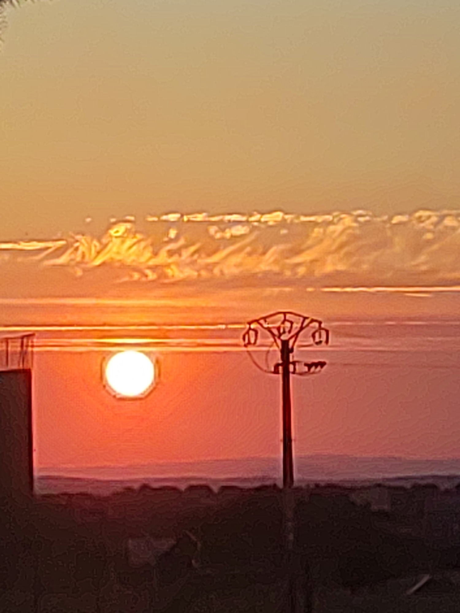 Sunset over Sobradillo reservoir, framed through pines and silhouettes