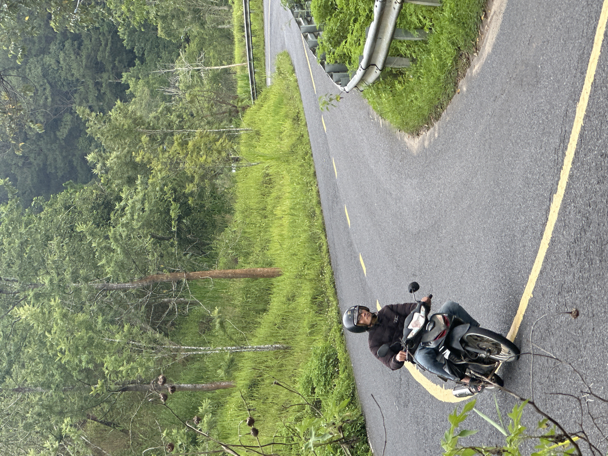 Morning traffic, vegetation documented on Da Lat mountain roads